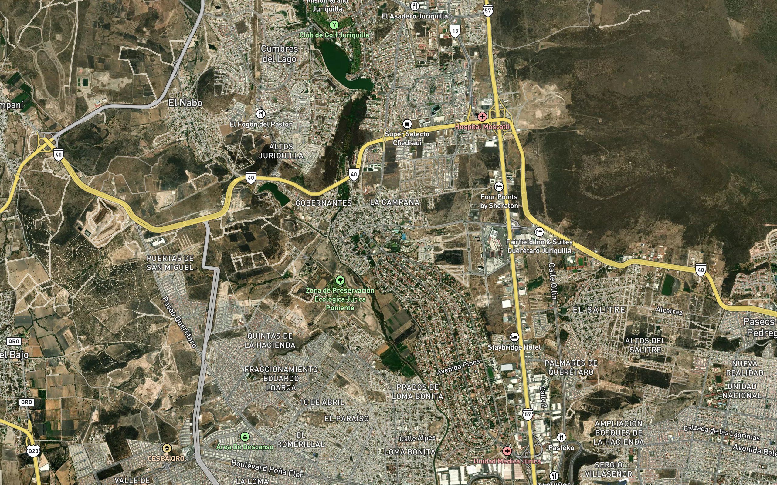 El Pachonal