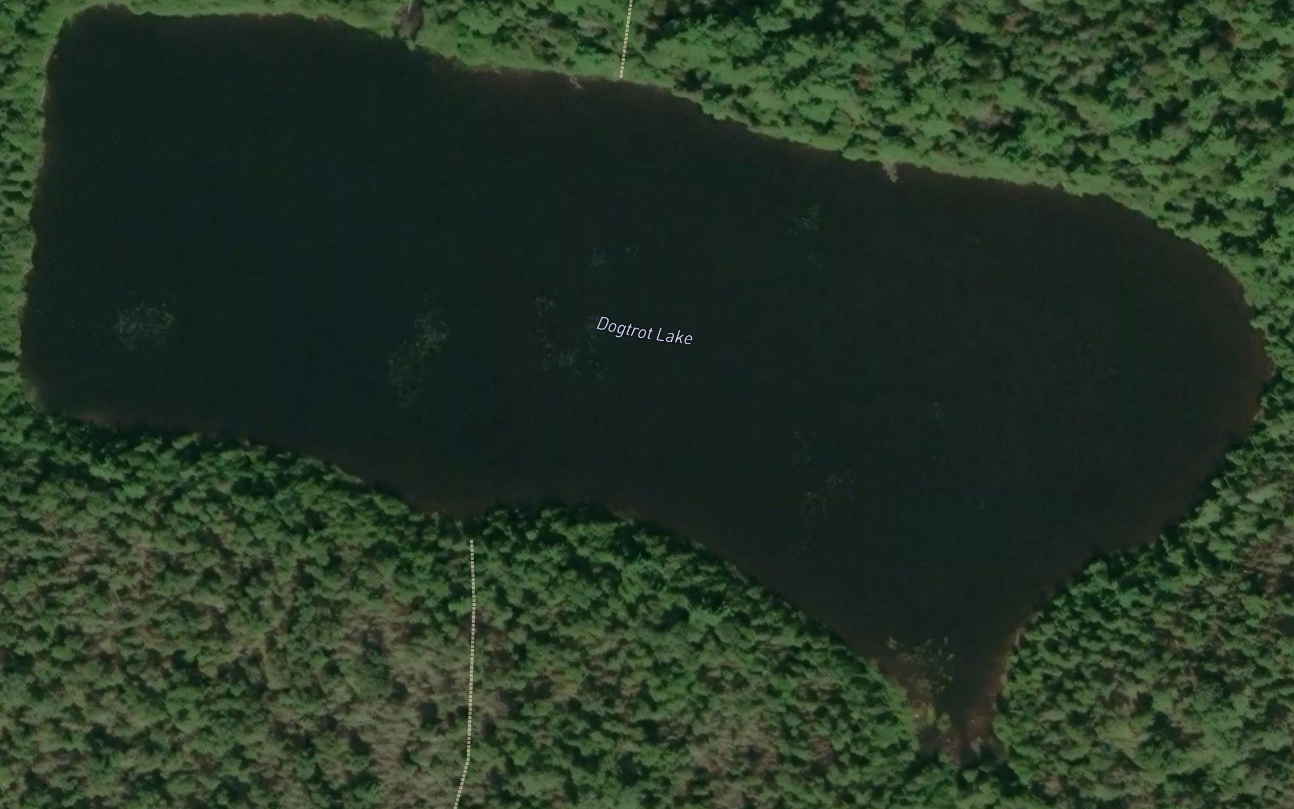 Dogtrot Lake