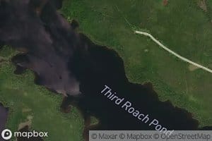 Third Roach Pond