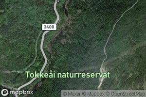 Rukkeai