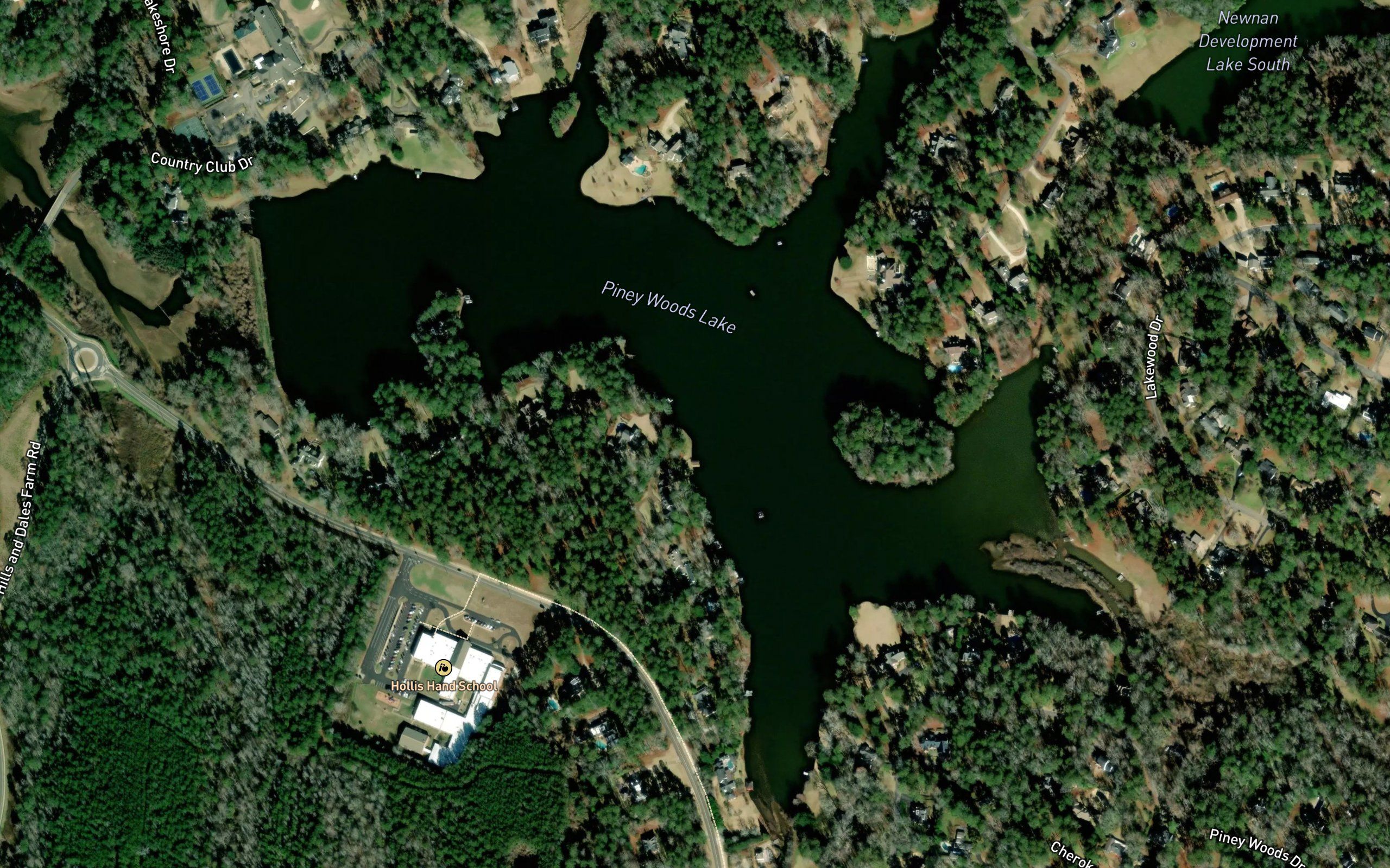 Piney Woods Lake