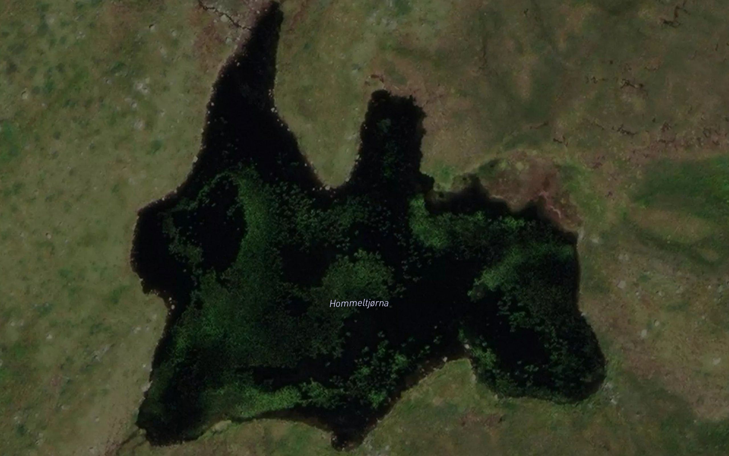Hommeltjorna