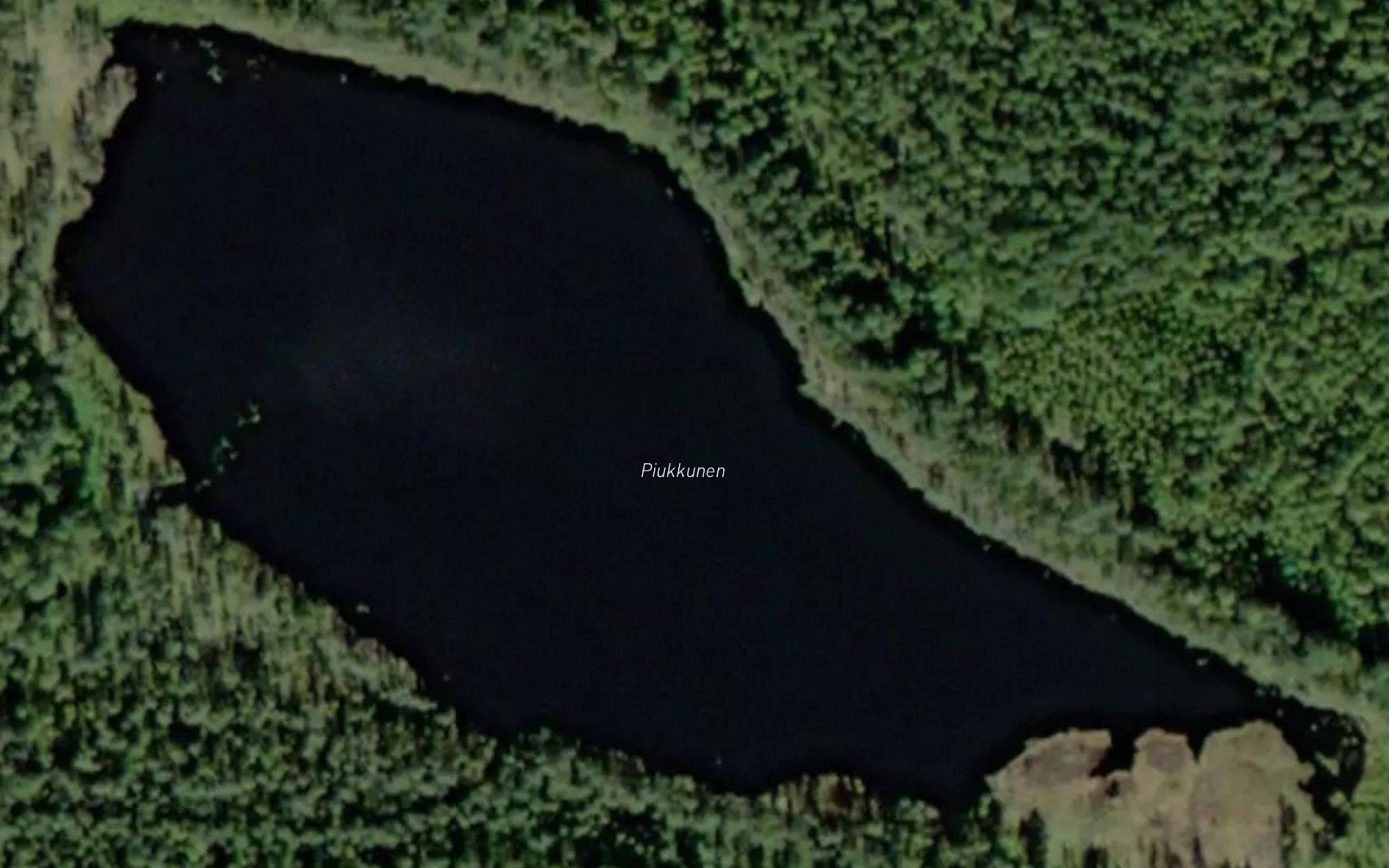 Piukkunen