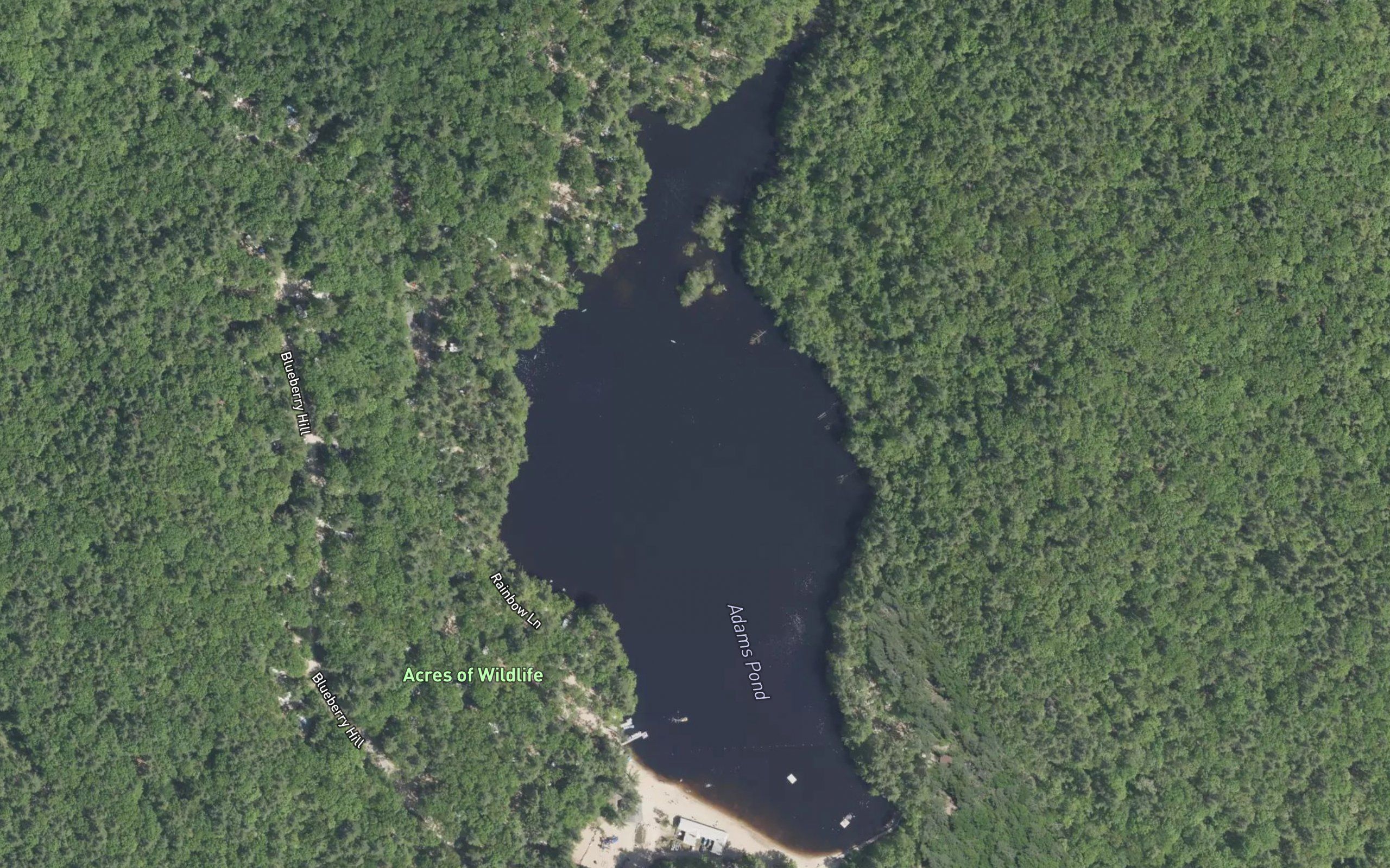 Adams Pond