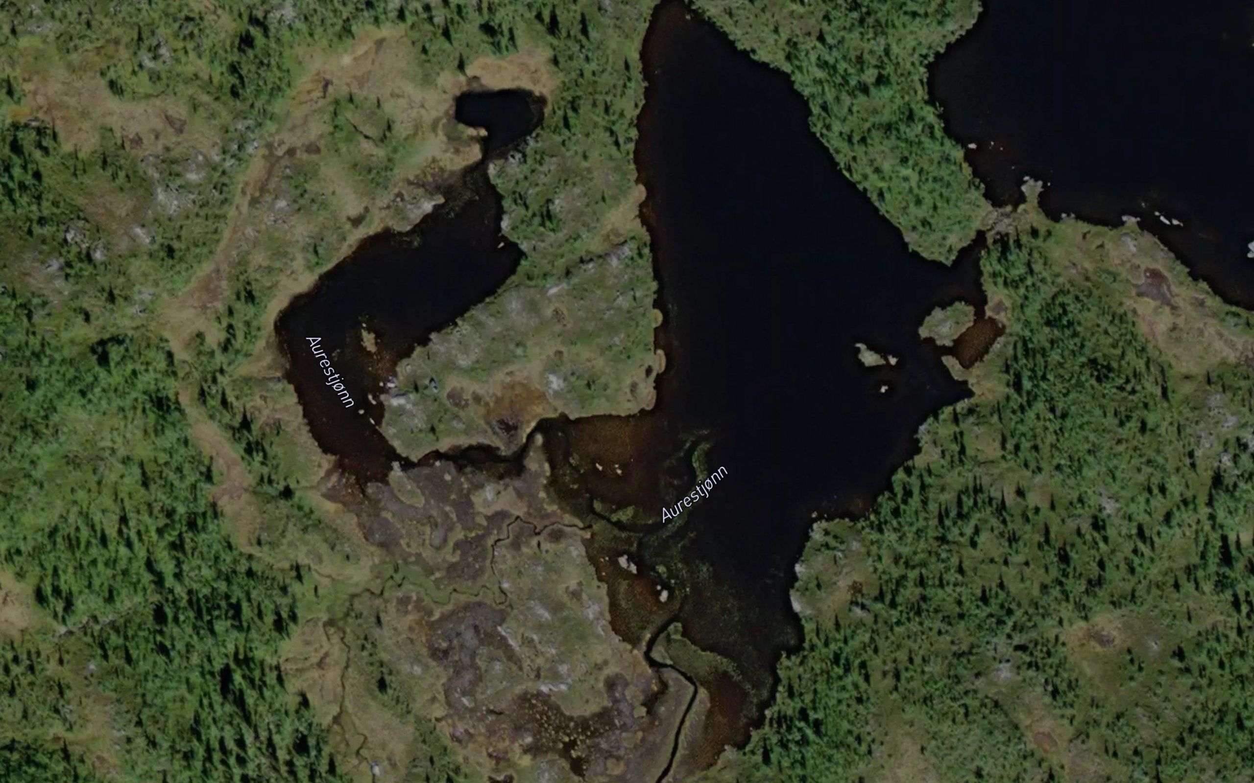 Aurestjonn