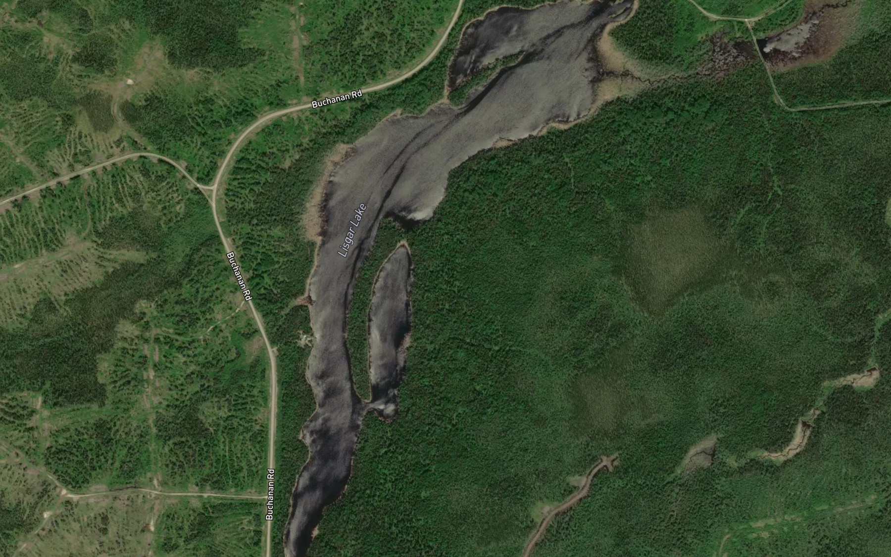 Satellite map of the Lisgar Lake