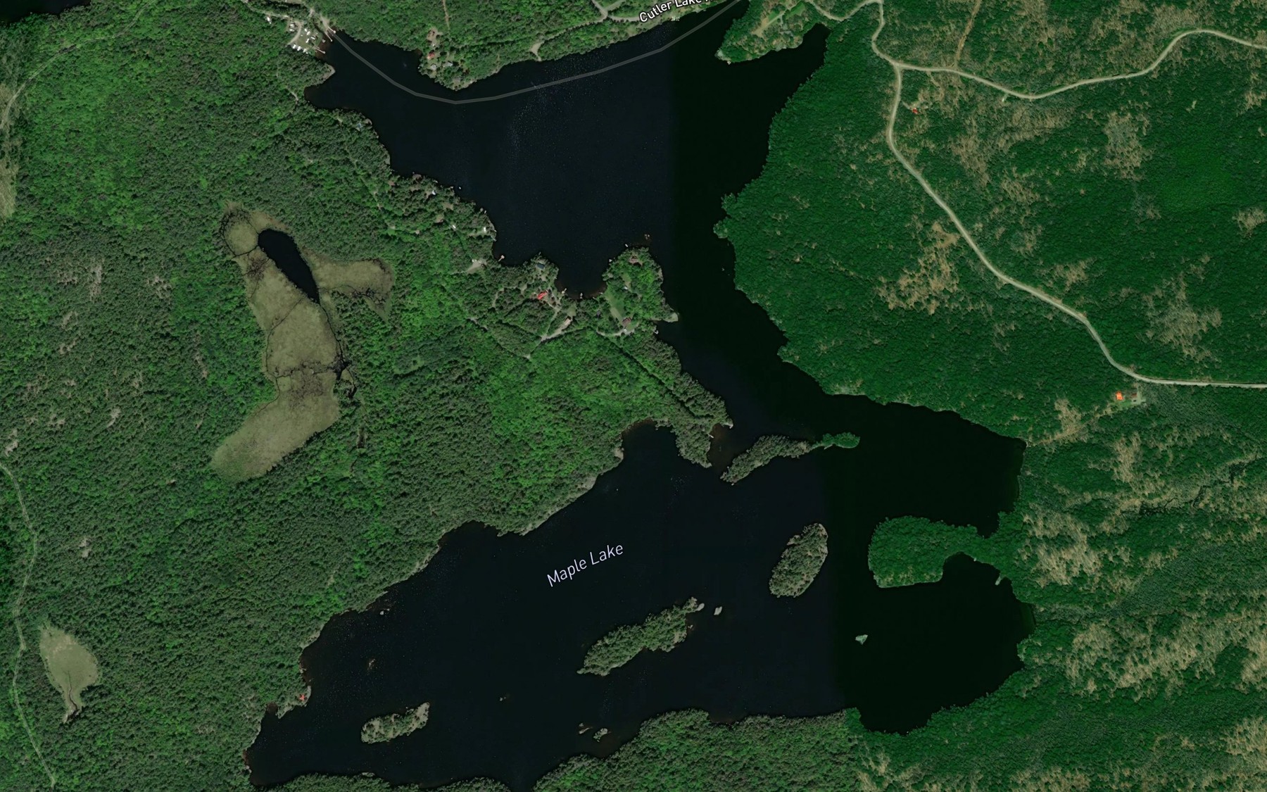 Satellite map of the Maple Lake