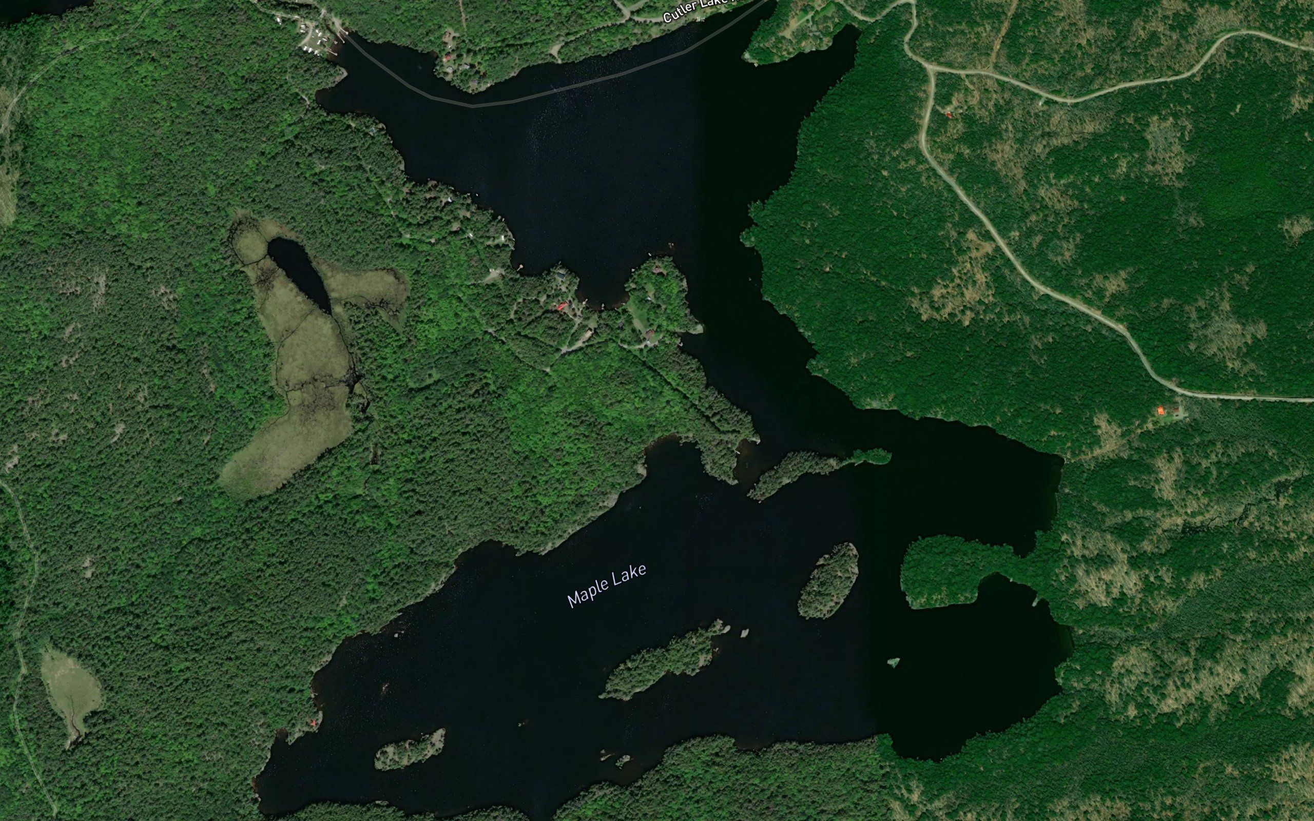 Maple Lake