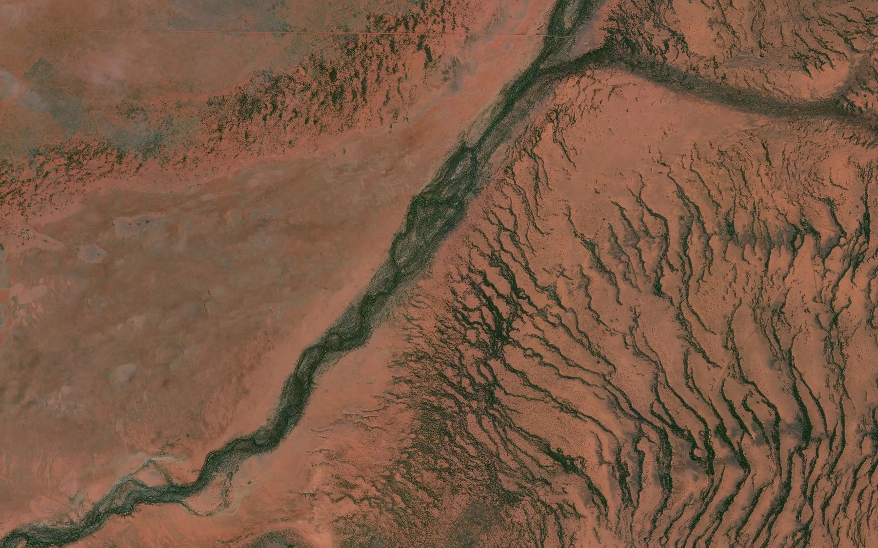 Satellite map of the Pickering Creek