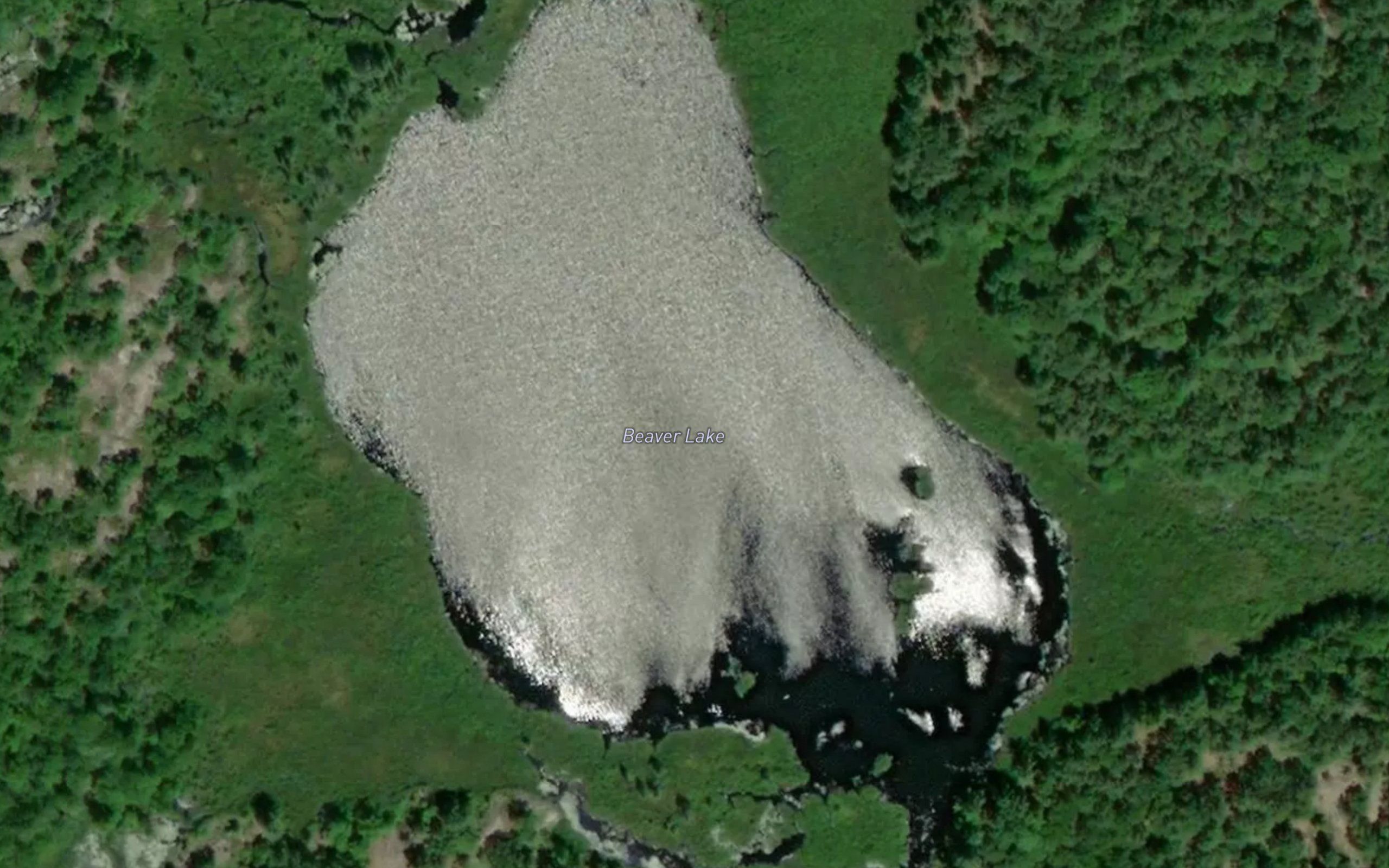 Beaver Lake