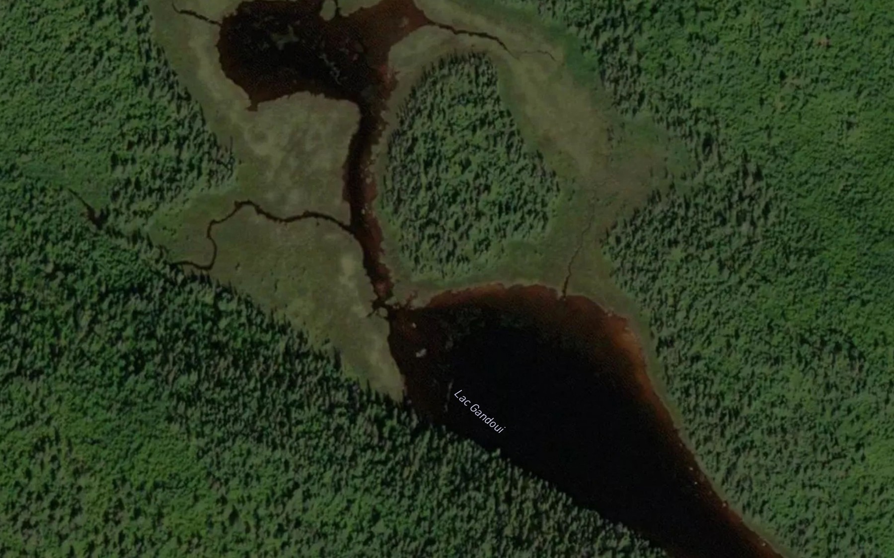 Satellite map of the Lac Gandoui