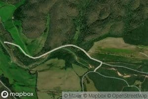 Muller Hollow Branch