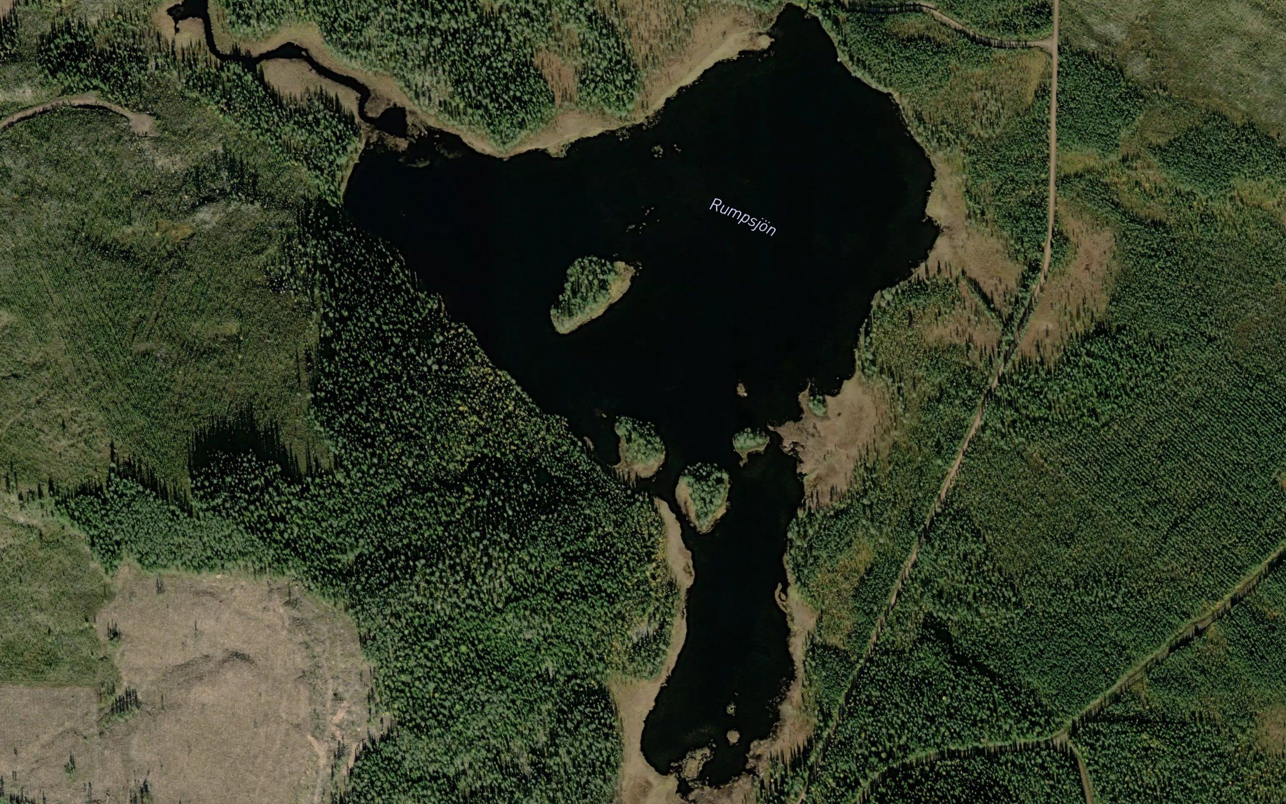 Rumpsjoen