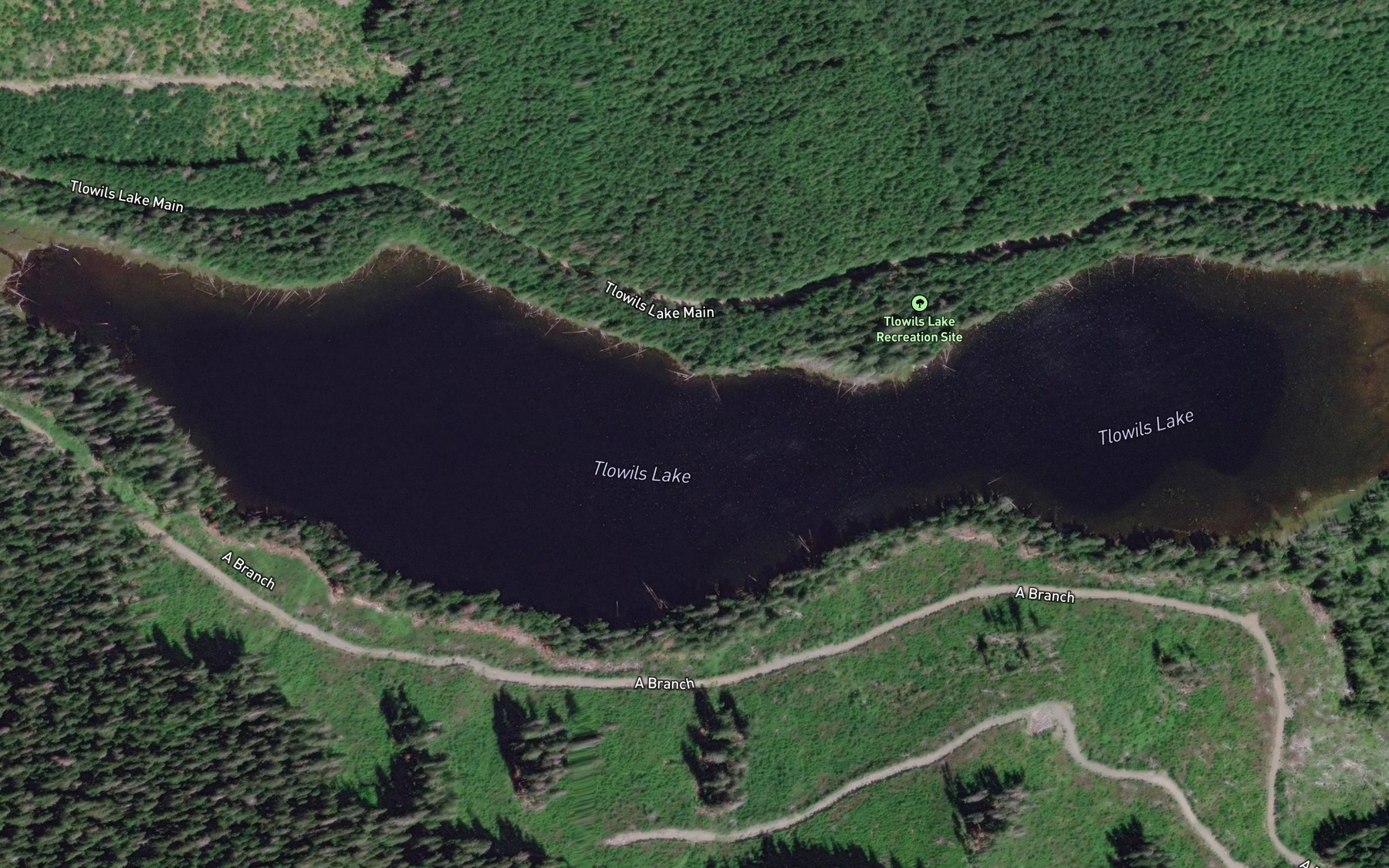 Satellite map of the Tlowils Lake