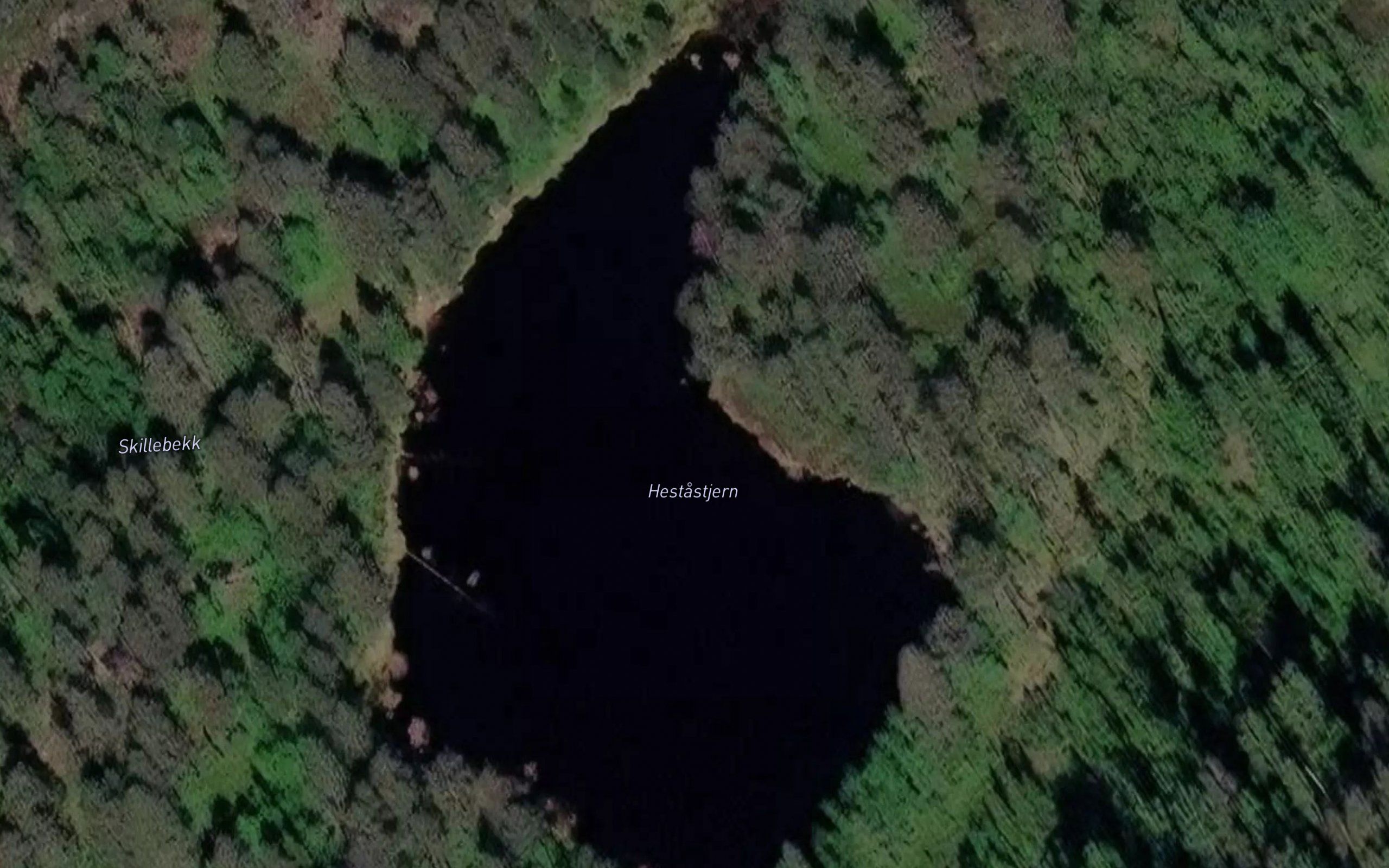 Hestastjern