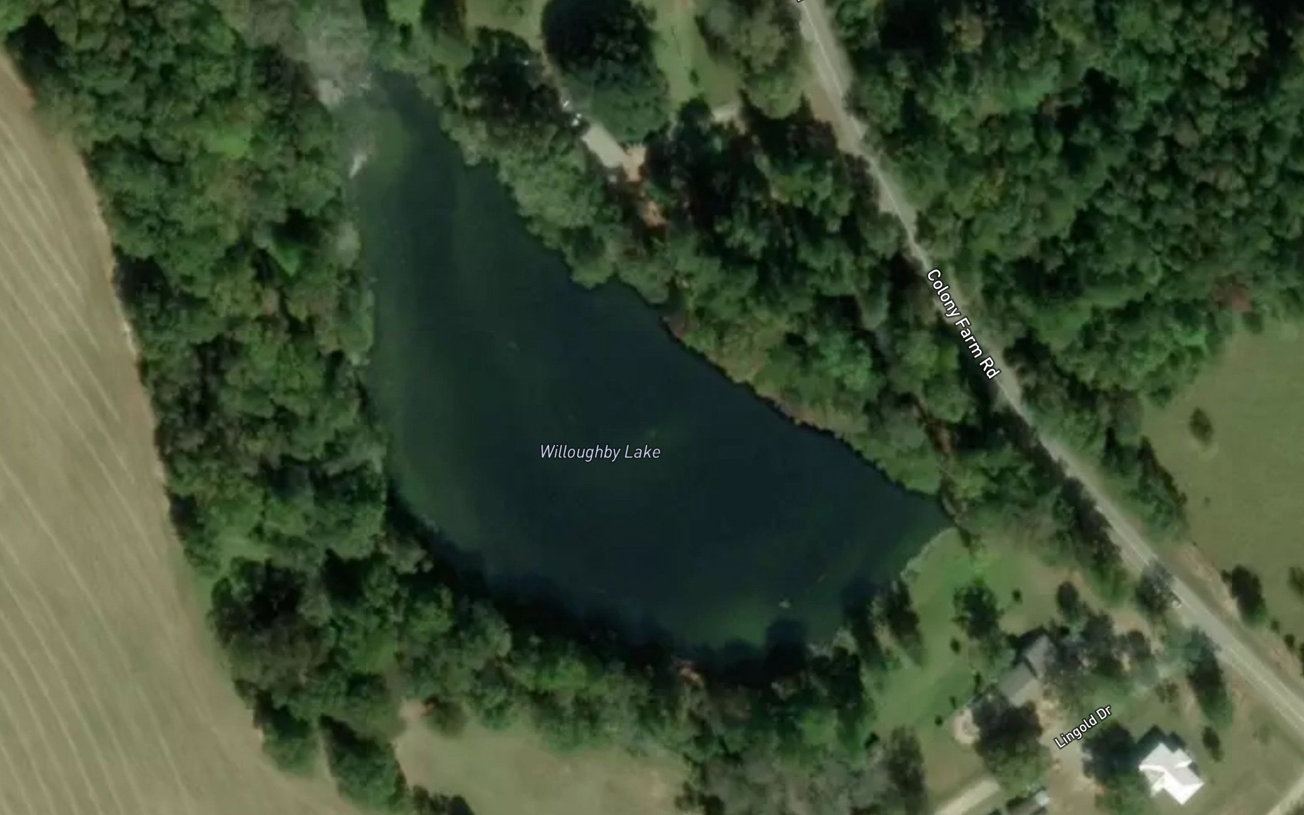 Willoughby Lake