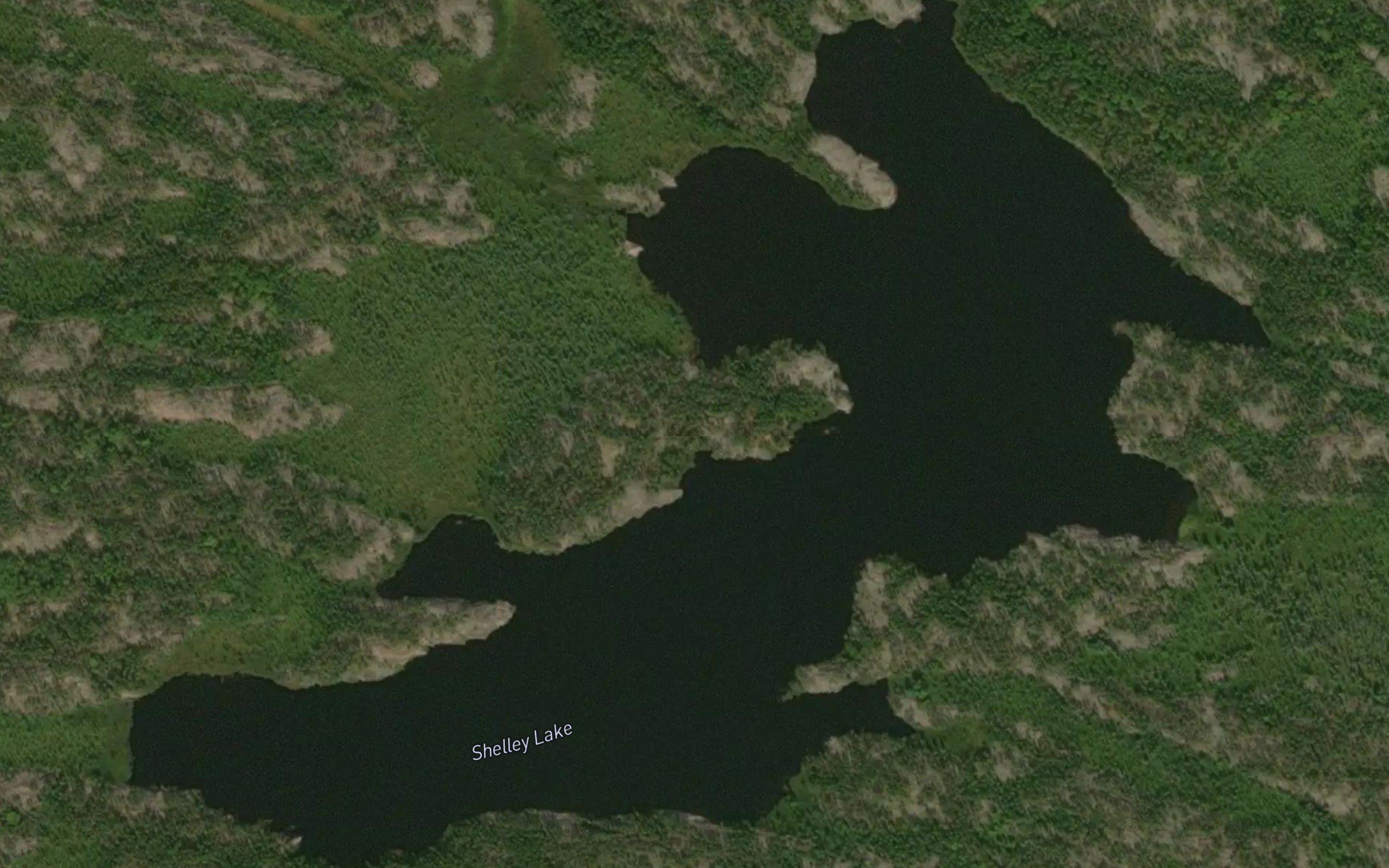 Shelley Lake