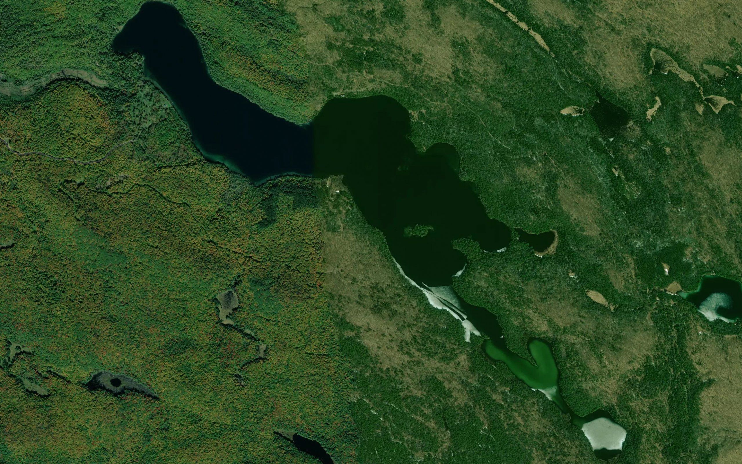 Ashby White Lake