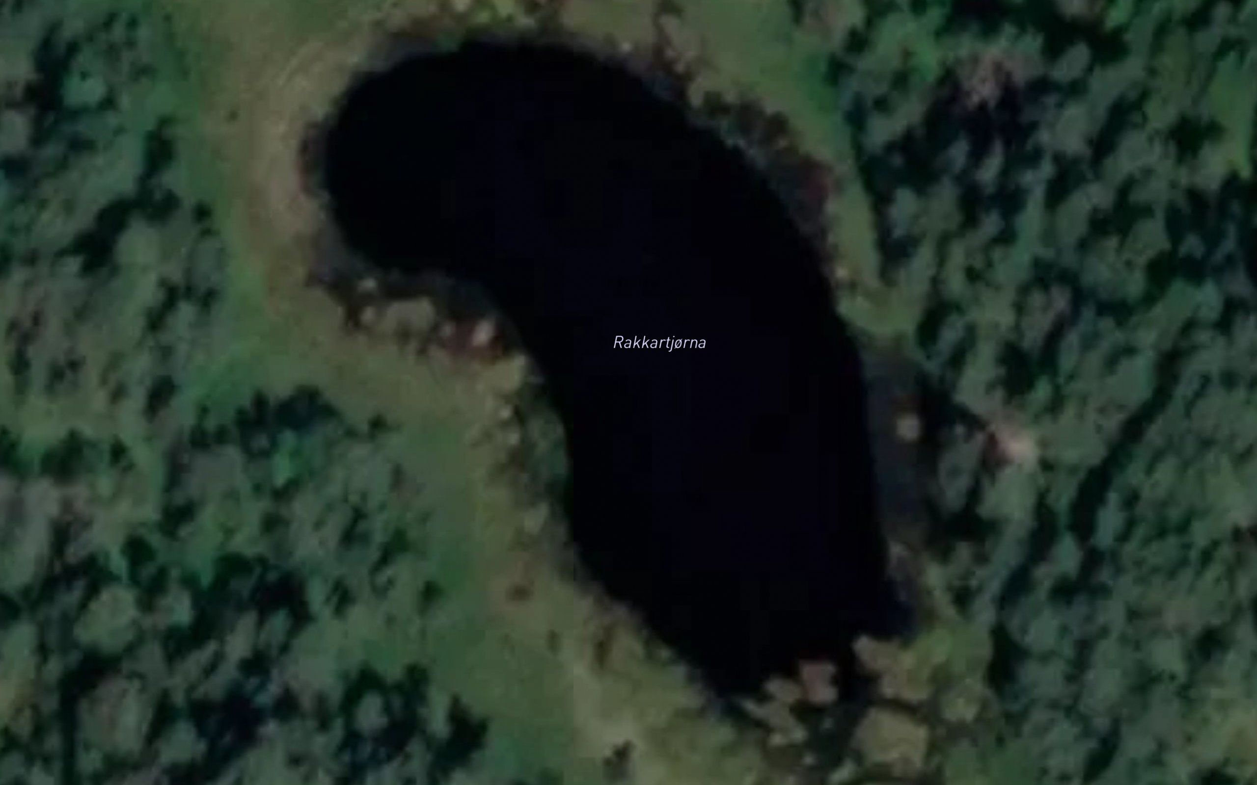 Rakkartjorna