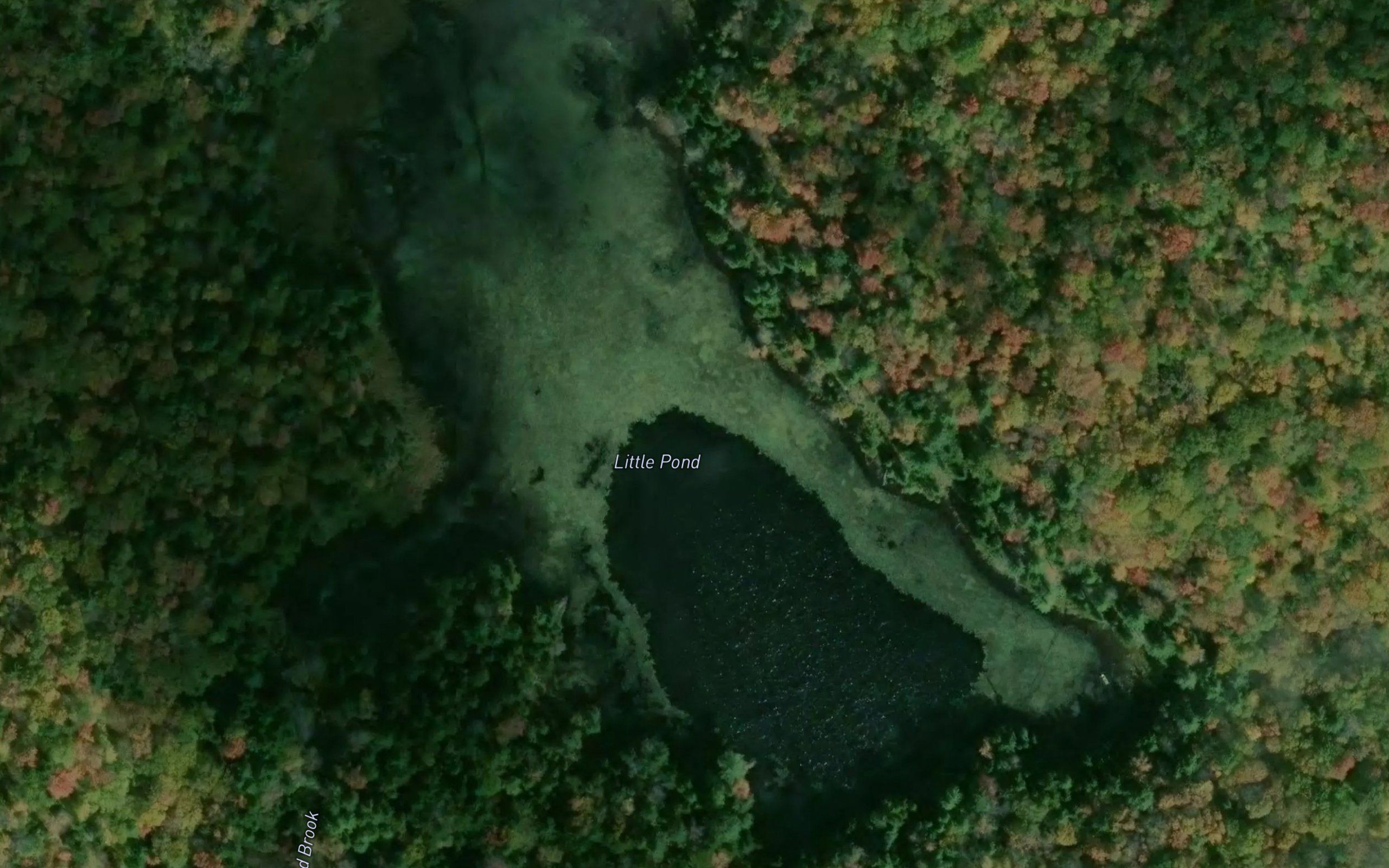 Little Pond