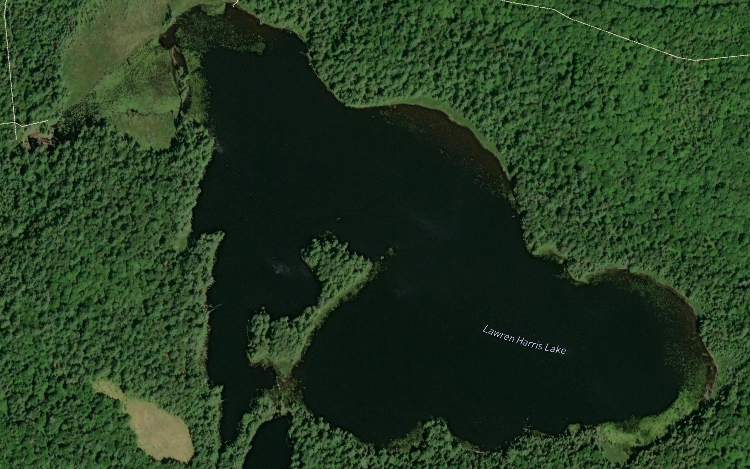 Lawren Harris Lake