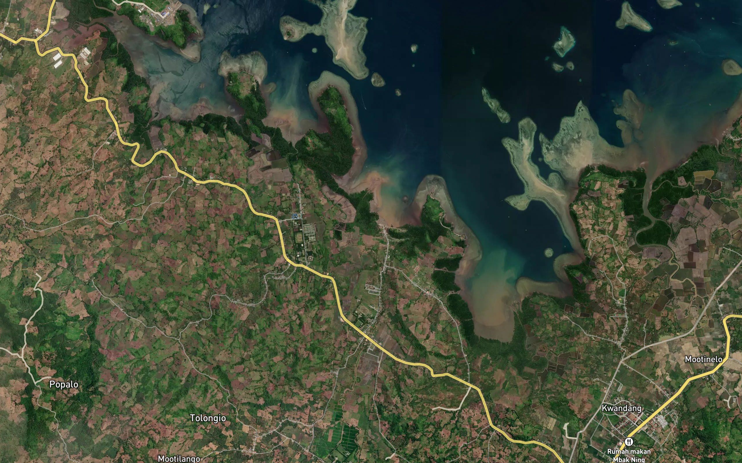Dutula Popalo