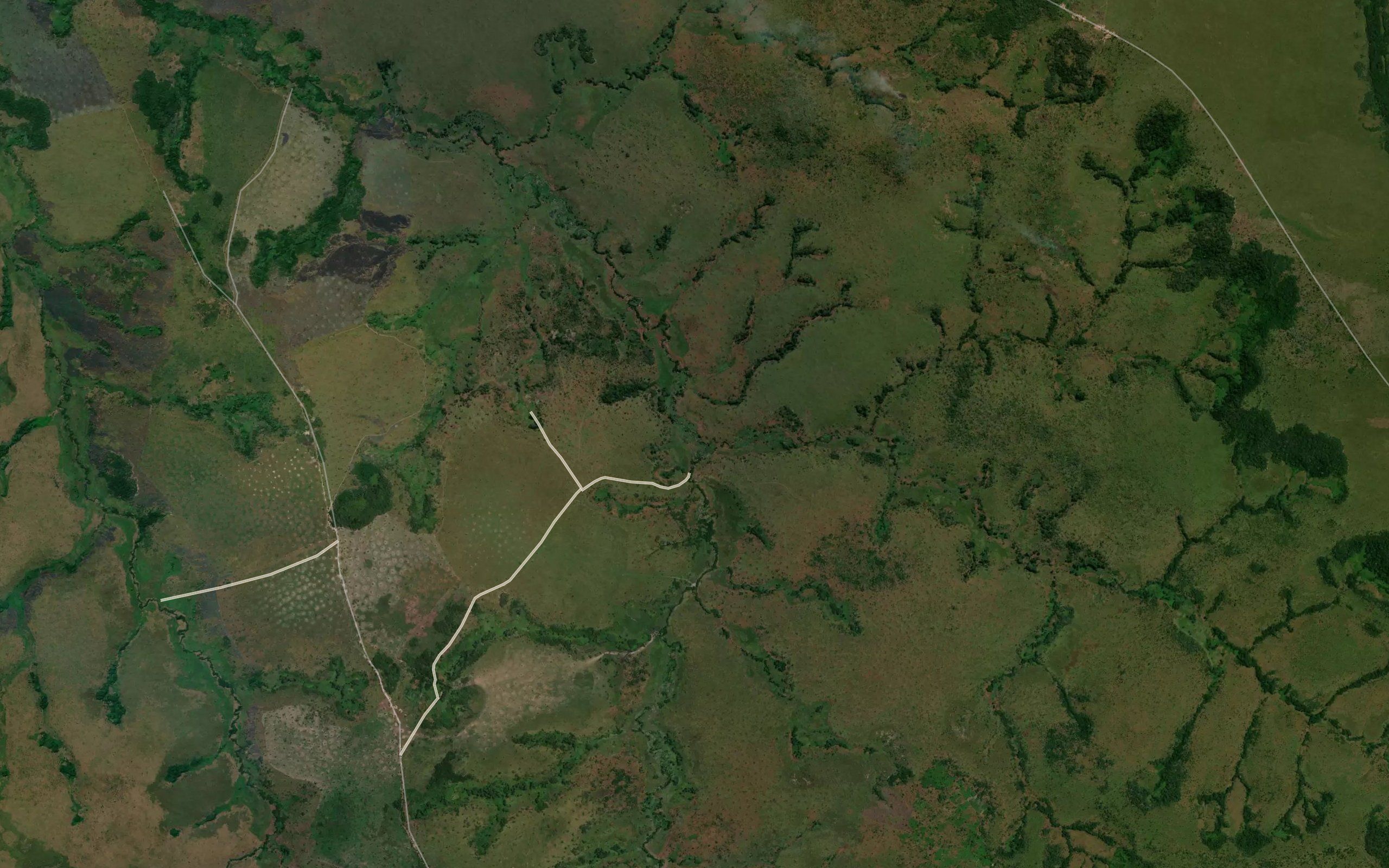 Kisenga