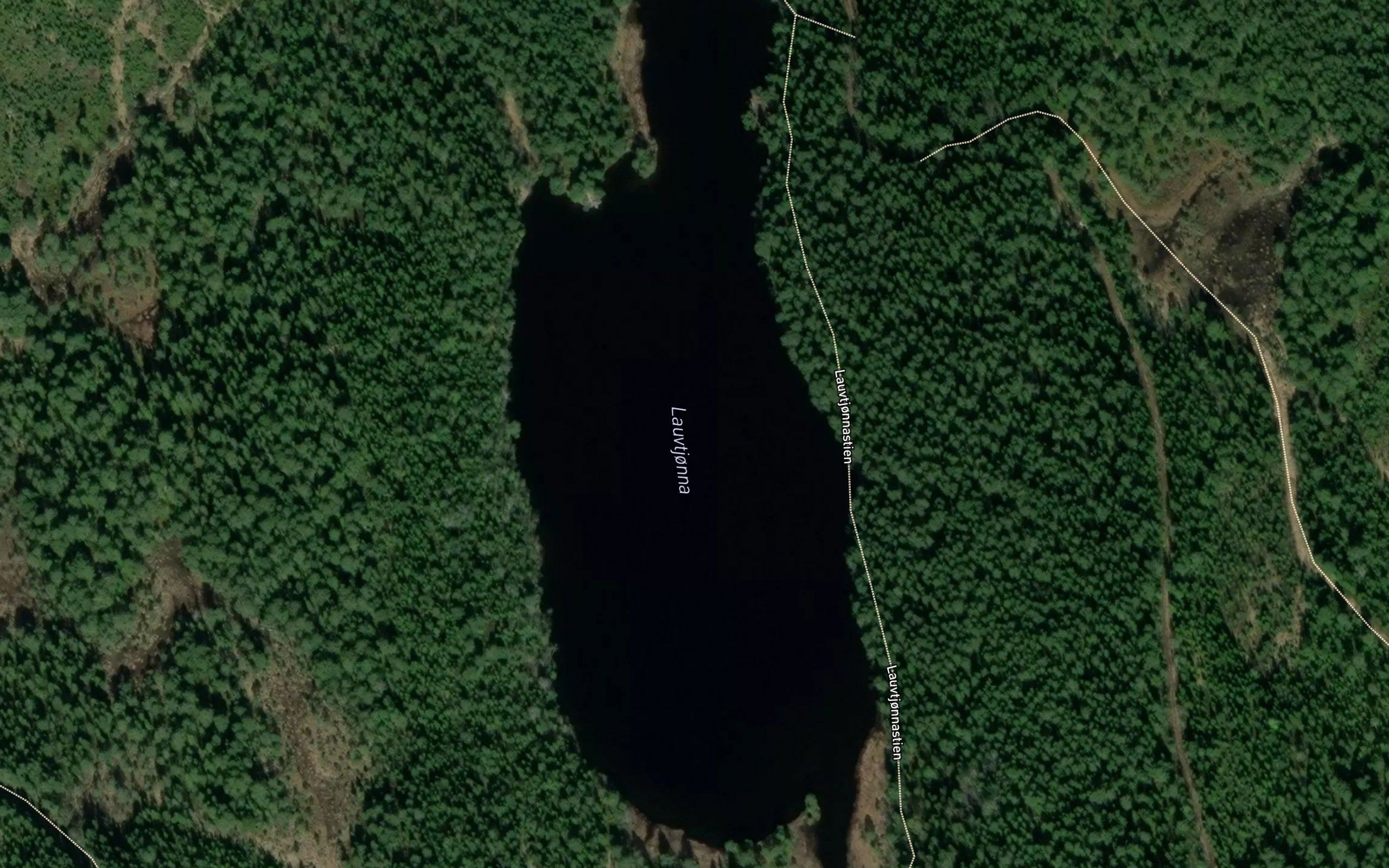 Lauvtjorna