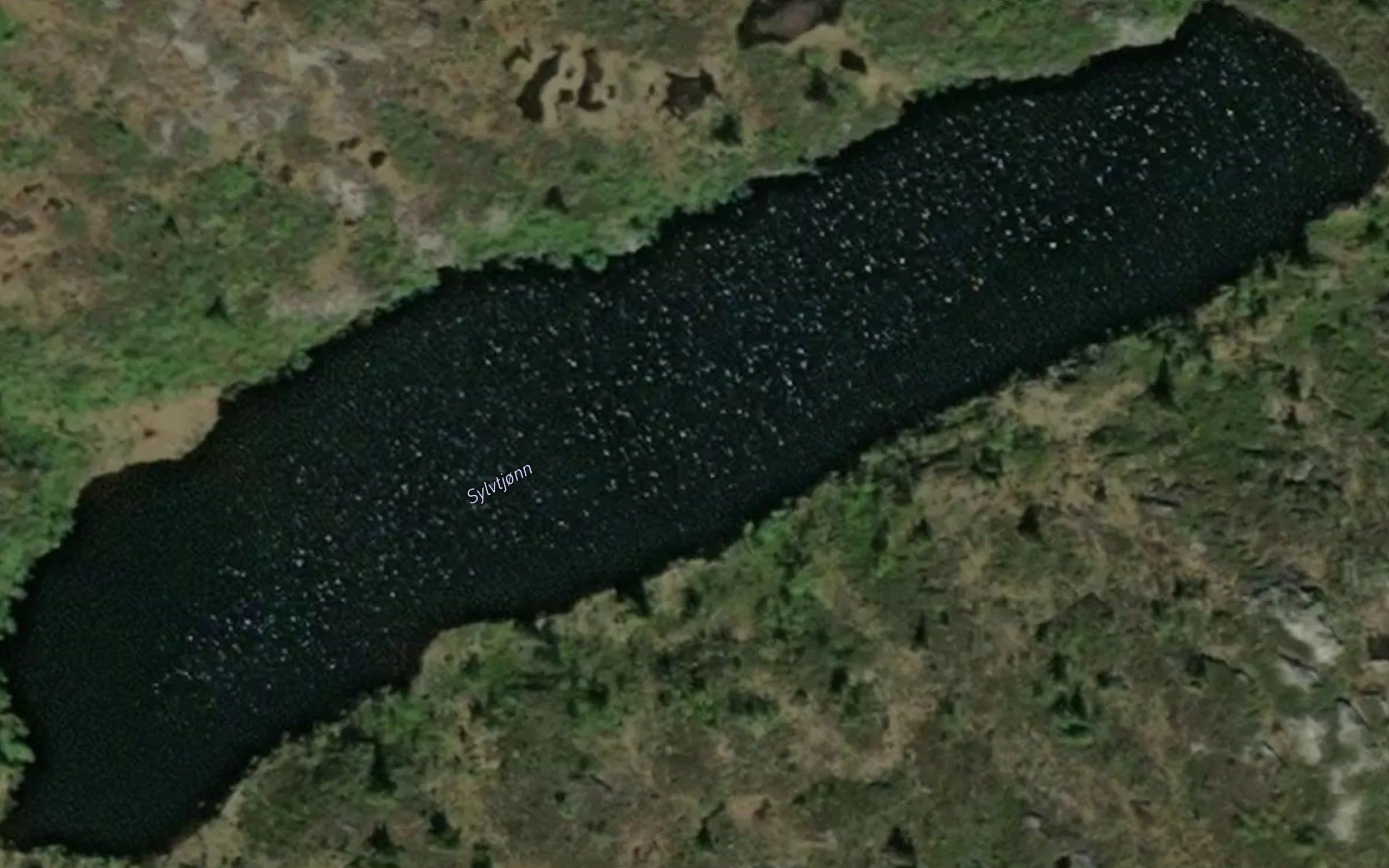 Sylvtjorn