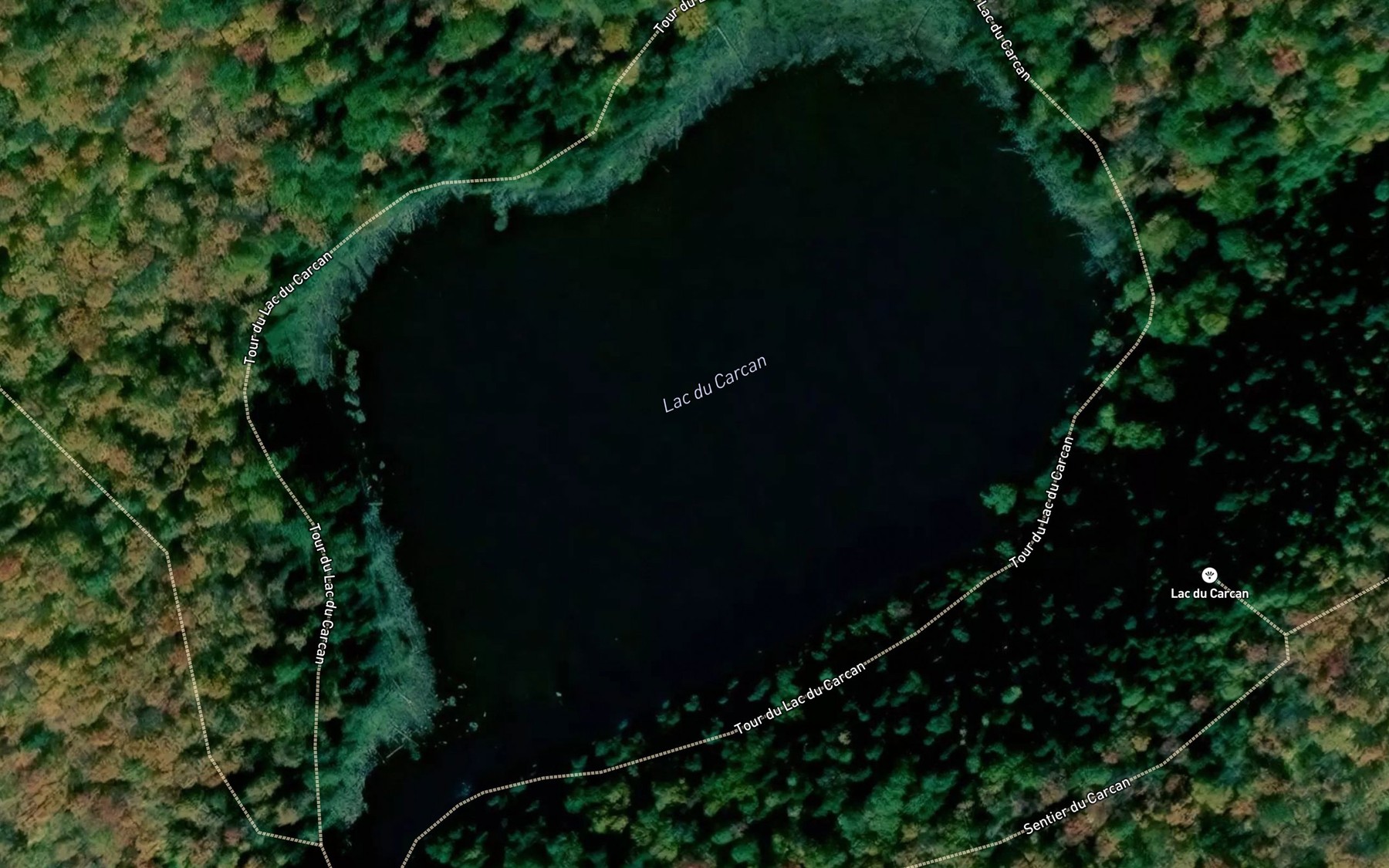 Satellite map of the Lac du Carcan