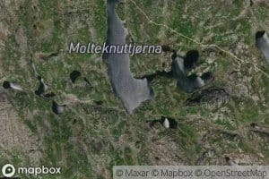 Molteknuttjorna