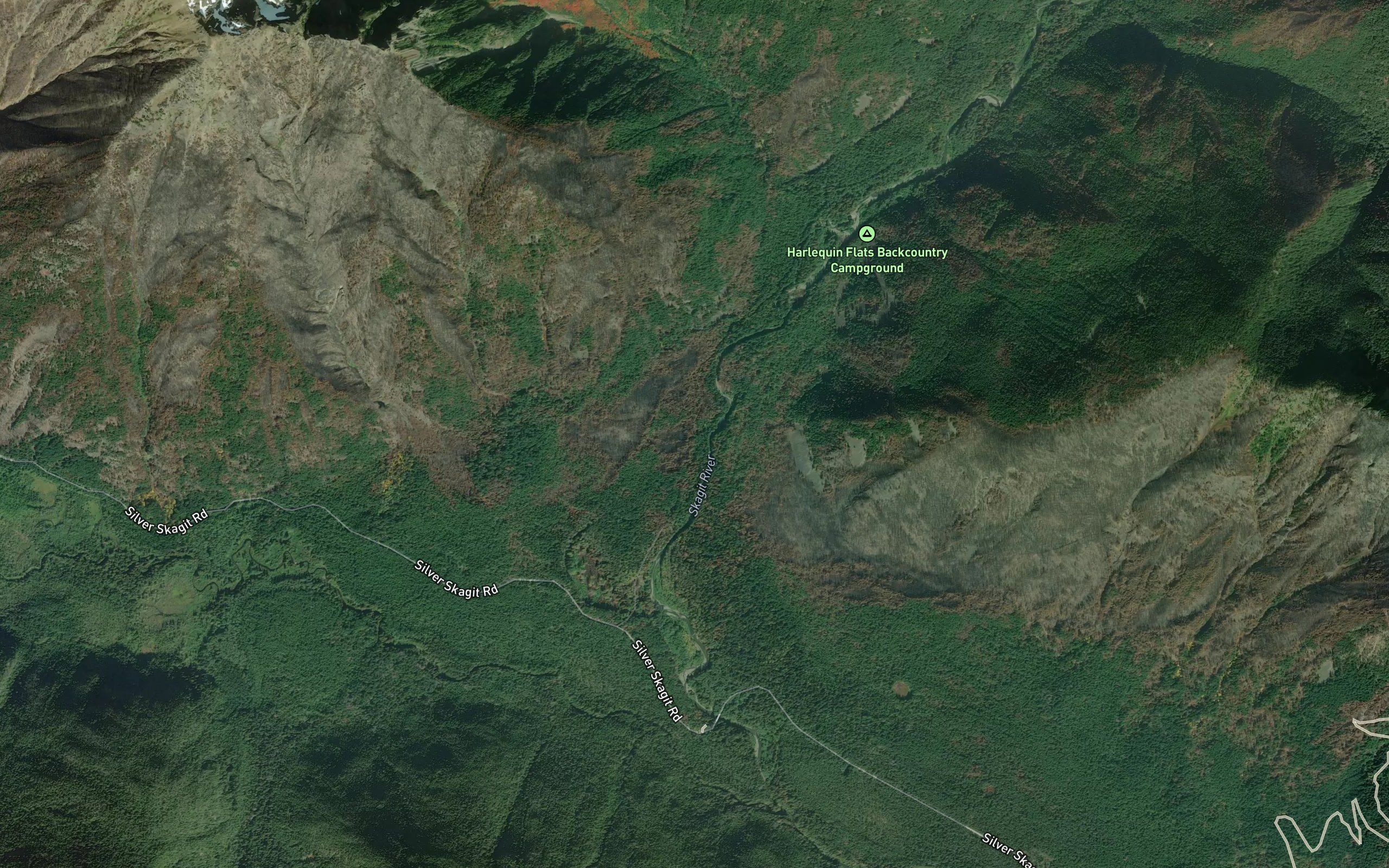 Silvertipped Creek