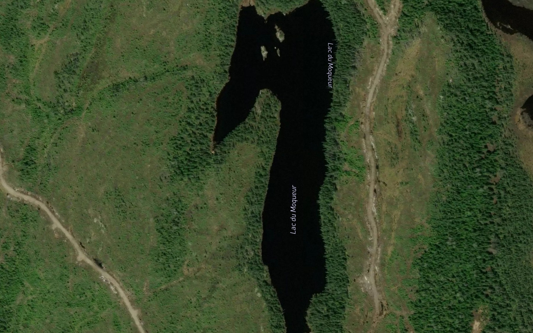 Satellite map of the Lac du Moqueur