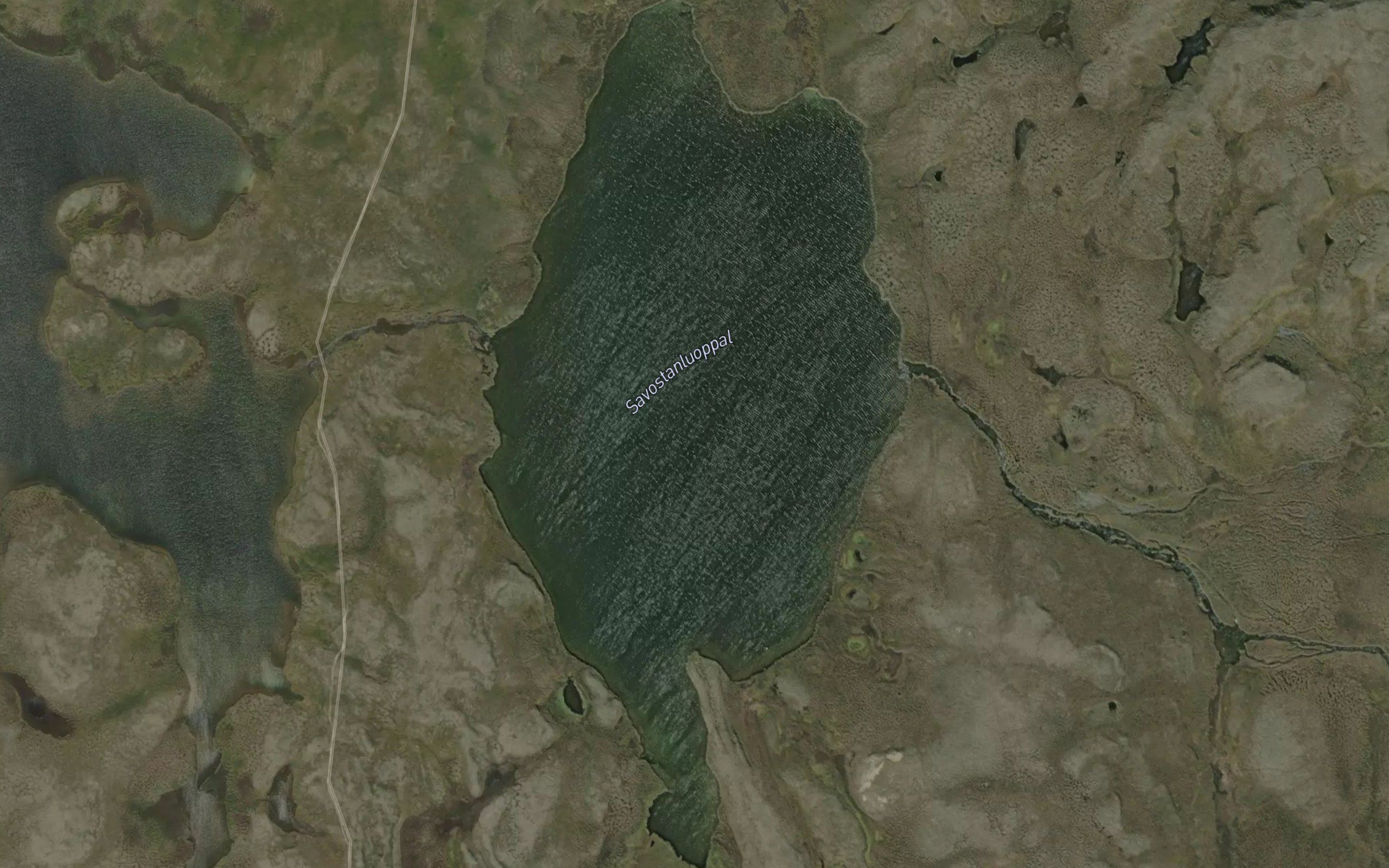 Savustanluobbal
