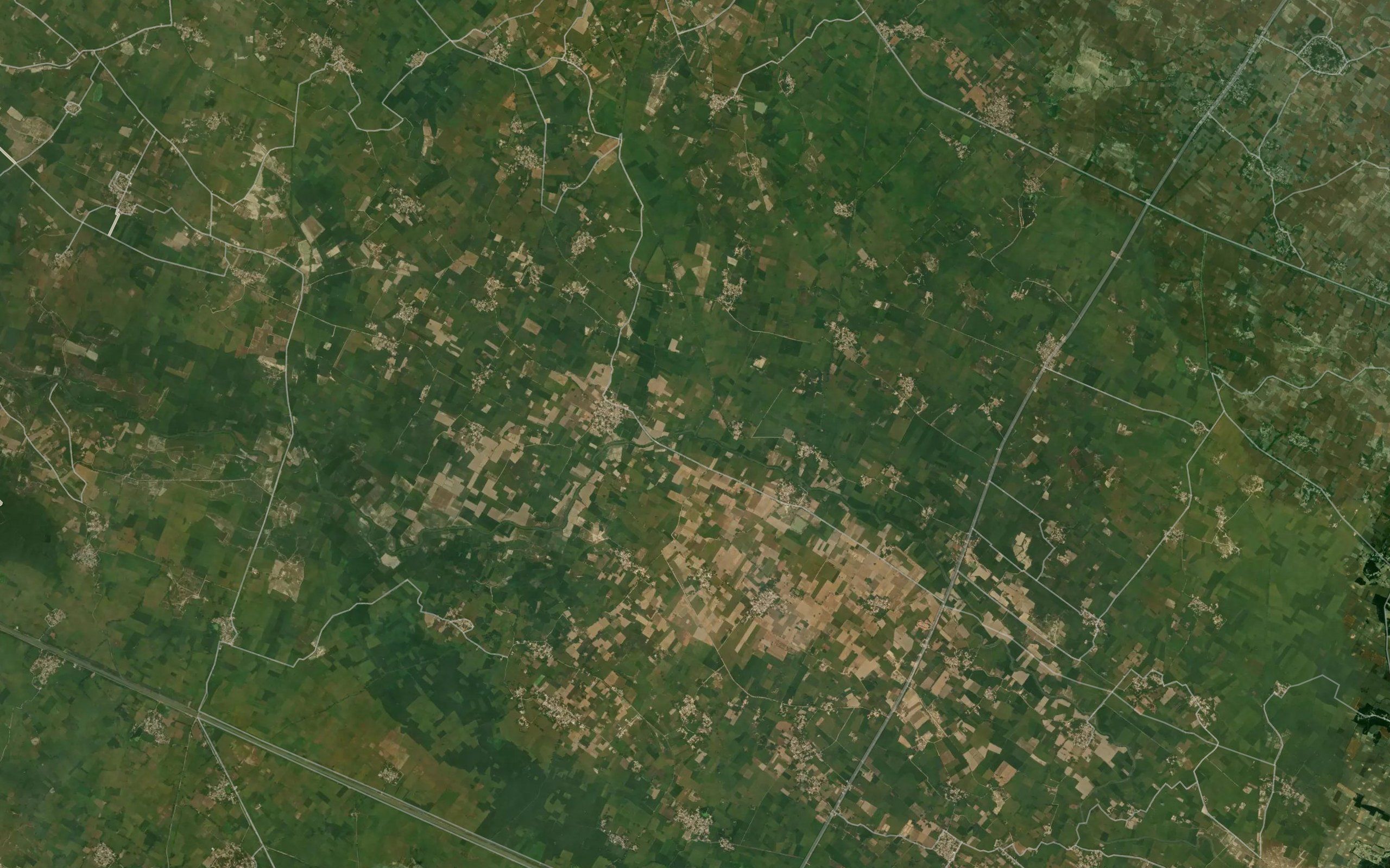 Punja Drainage Cut