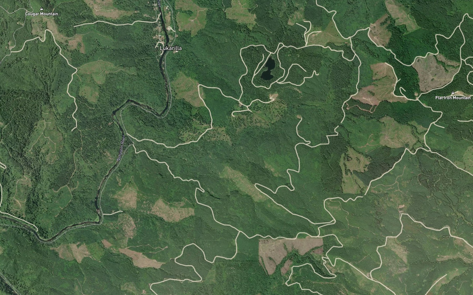 Satellite map of the South Fork Spruce Run Creek