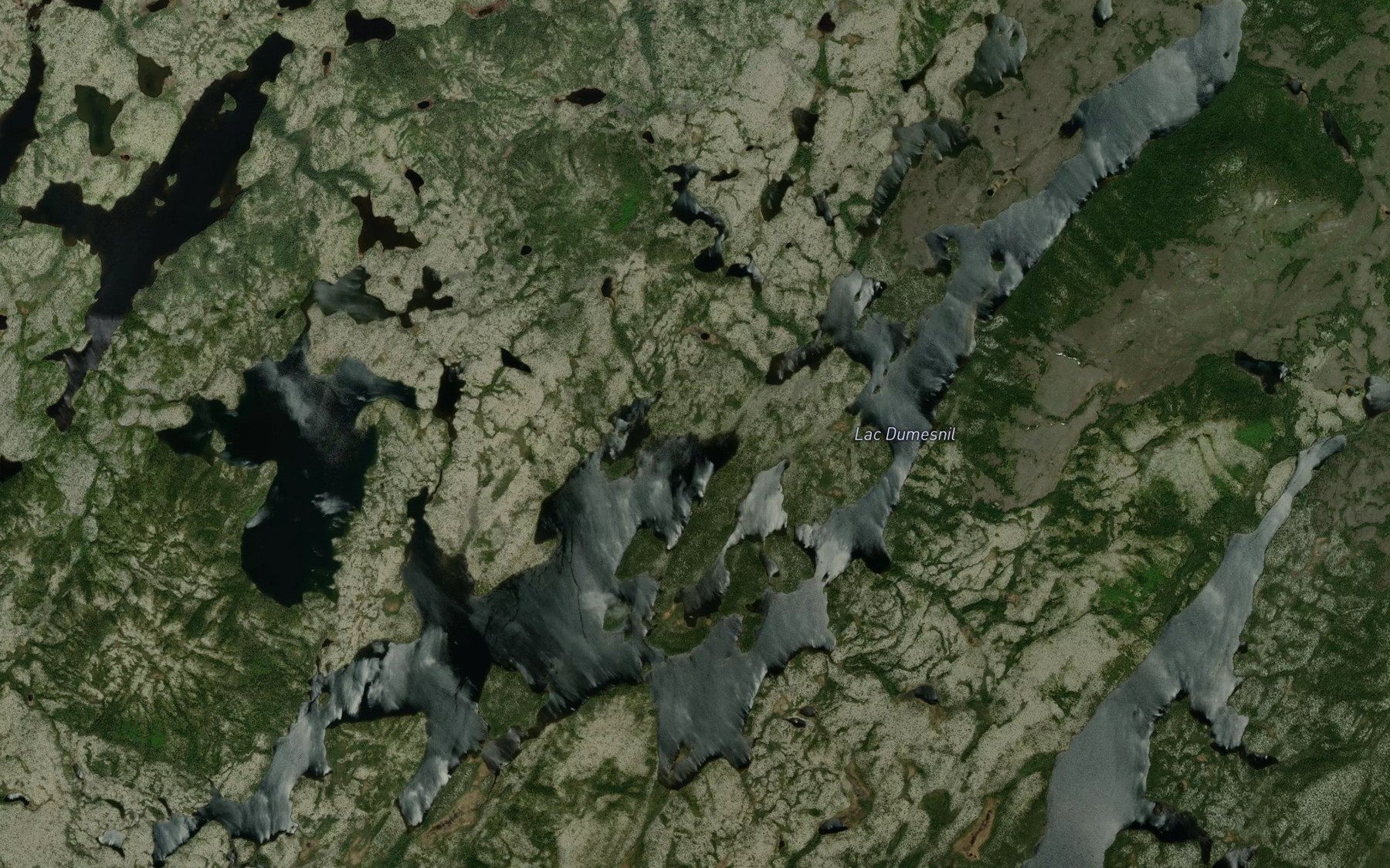 Satellite map of the Lac Dumesnil