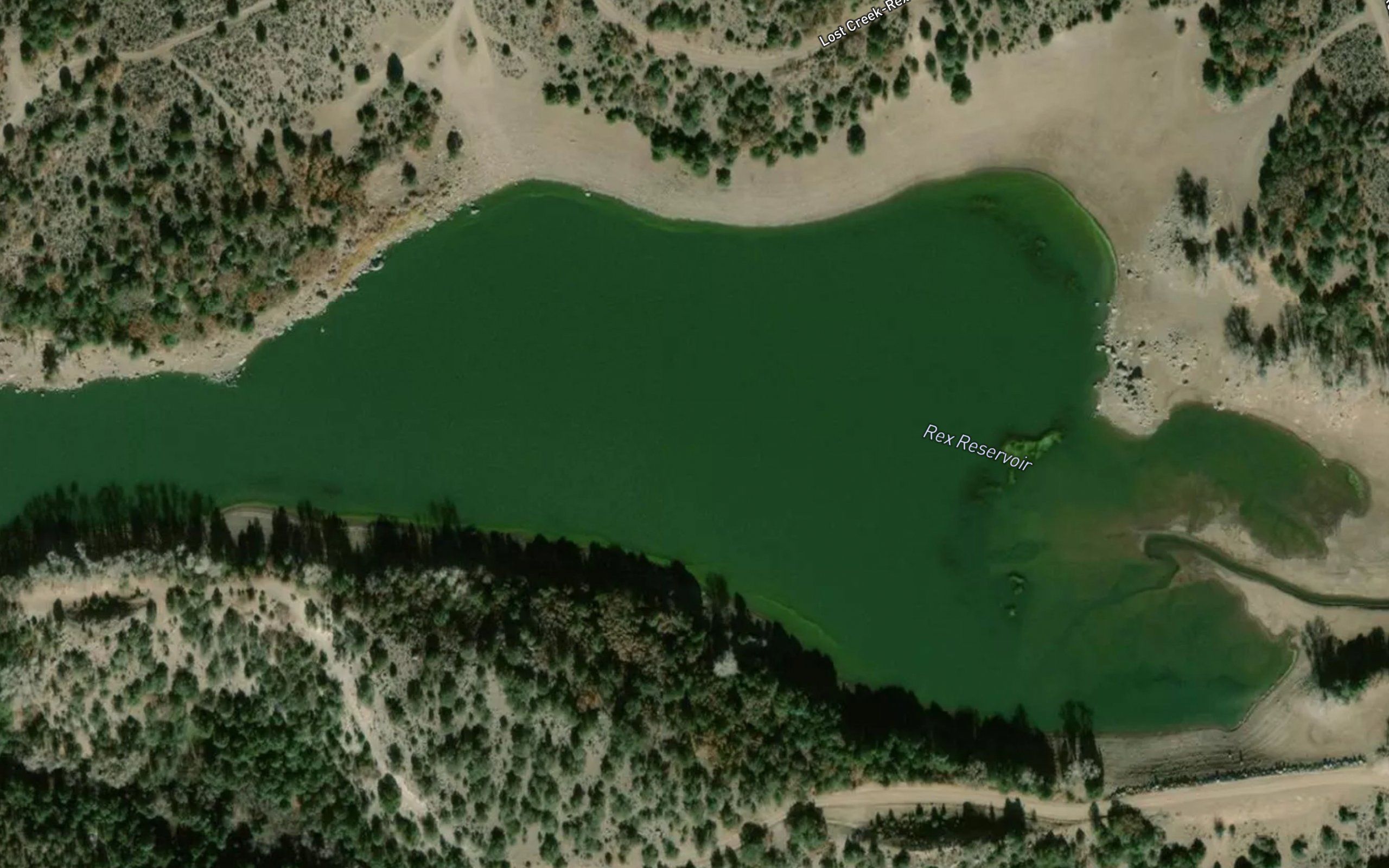 Rex Reservoir