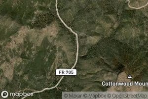 Cement Trough Spring