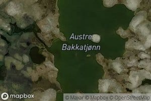 Austre Bakkatjorn