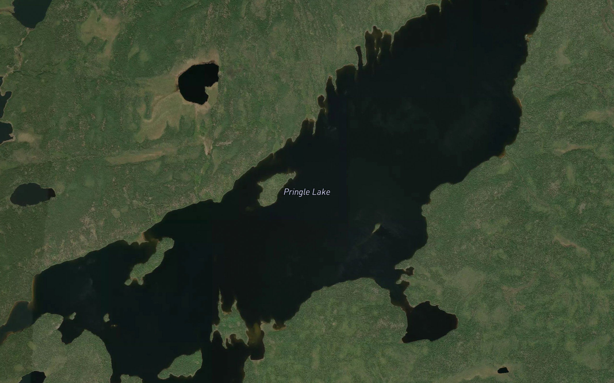 Pringle Lake