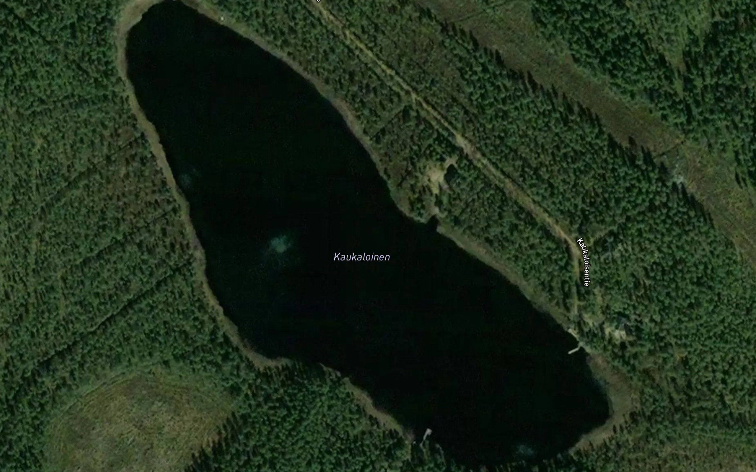 Kaukaloinen