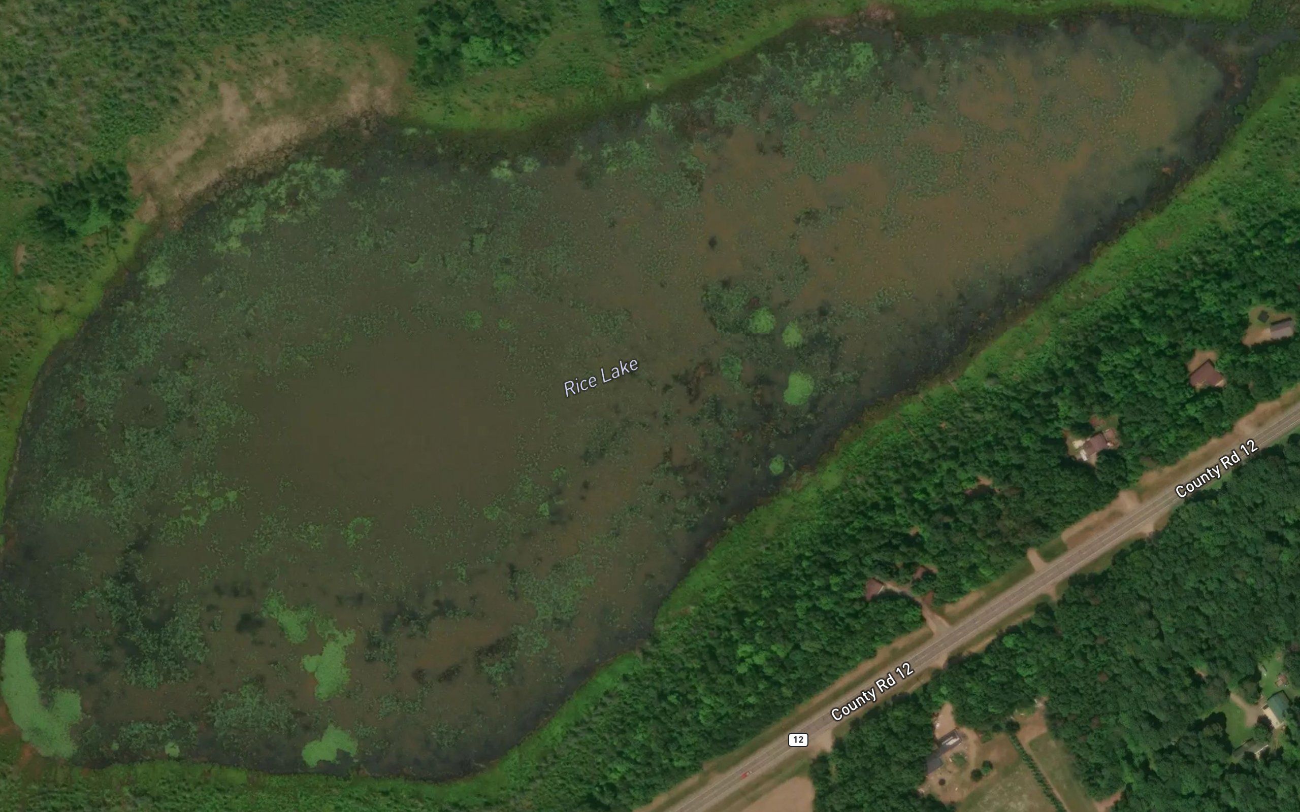 Rice Lake