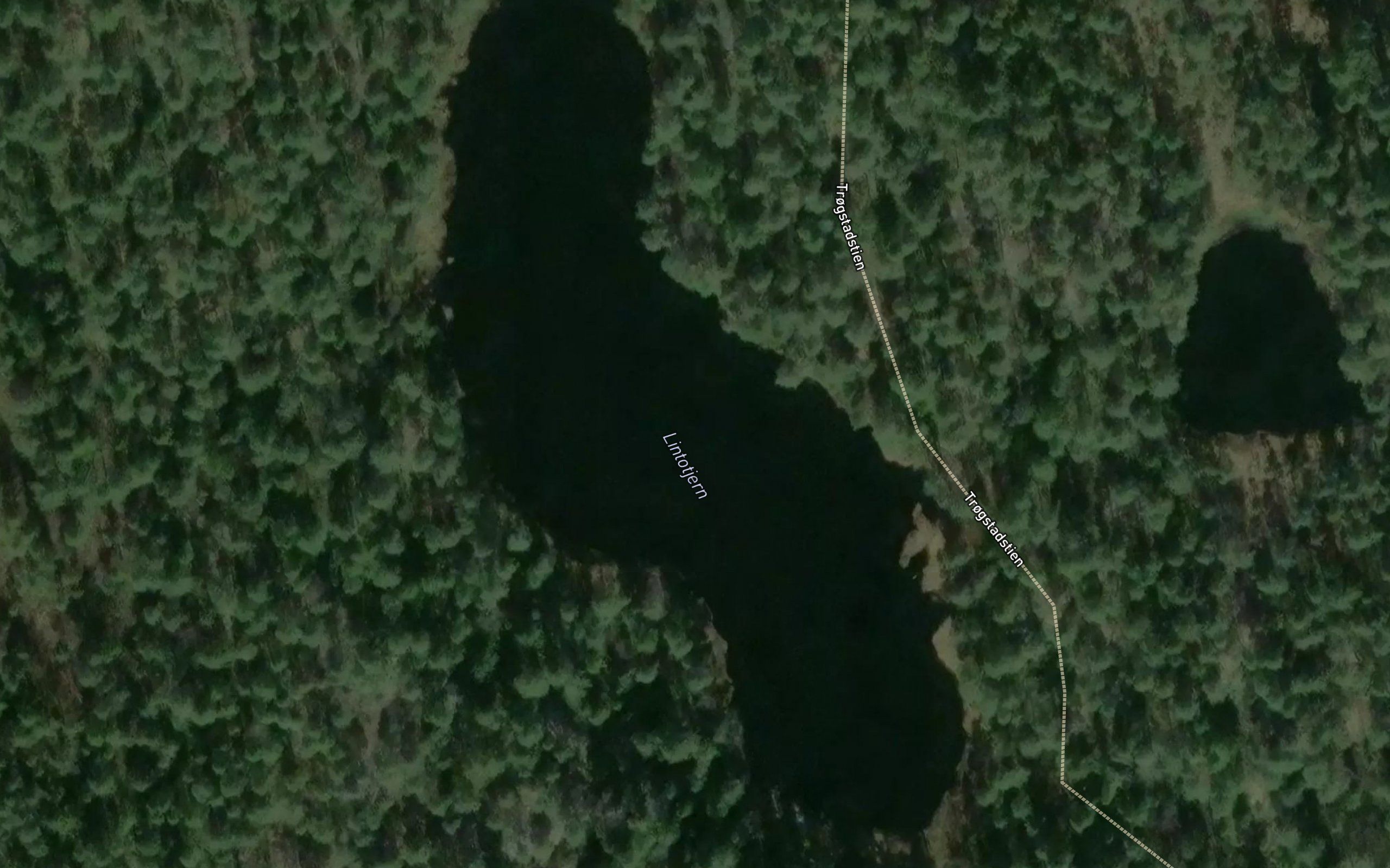 Lintotjern