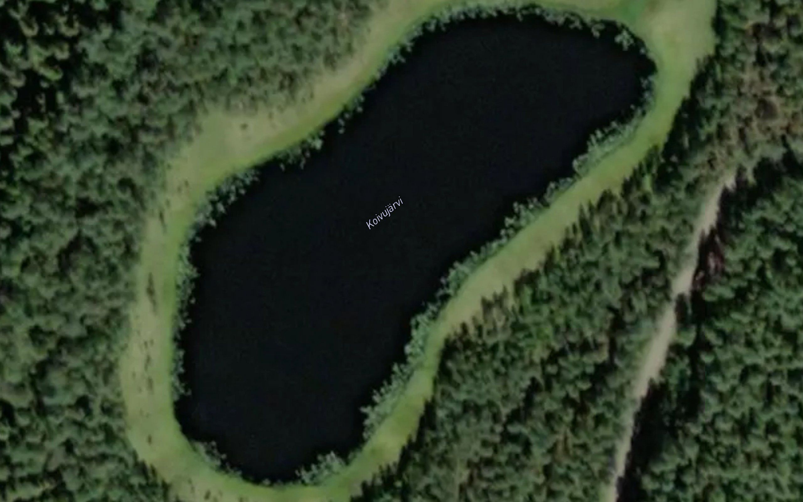 Koivujarvi