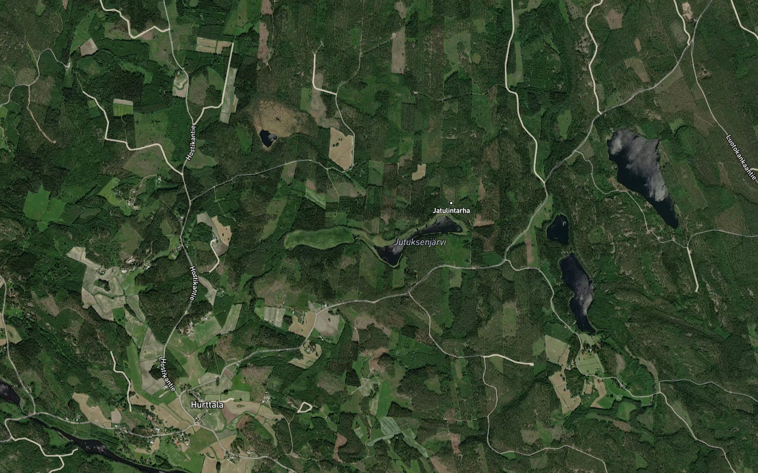 Lankipuunoja