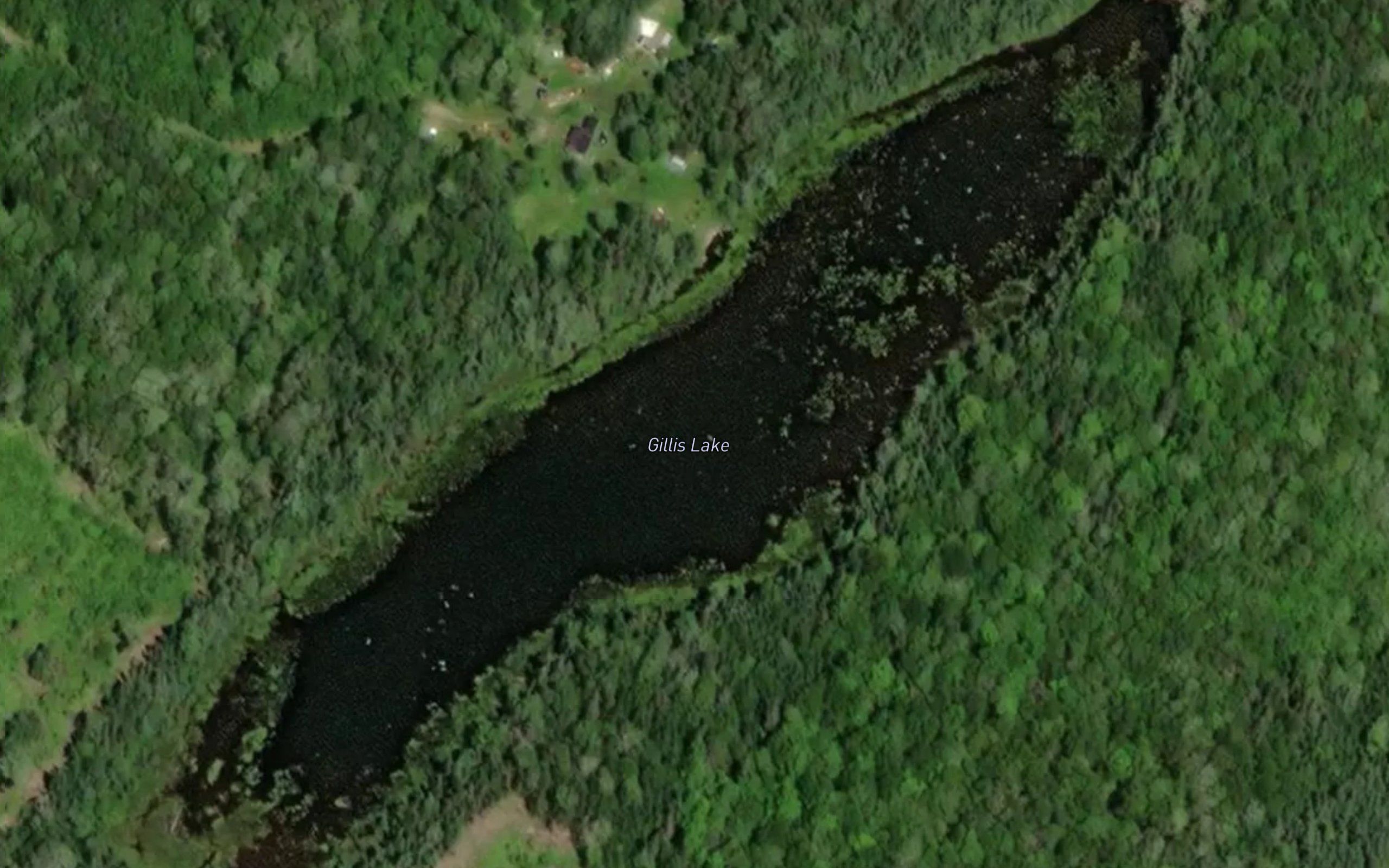 Gillis Lake
