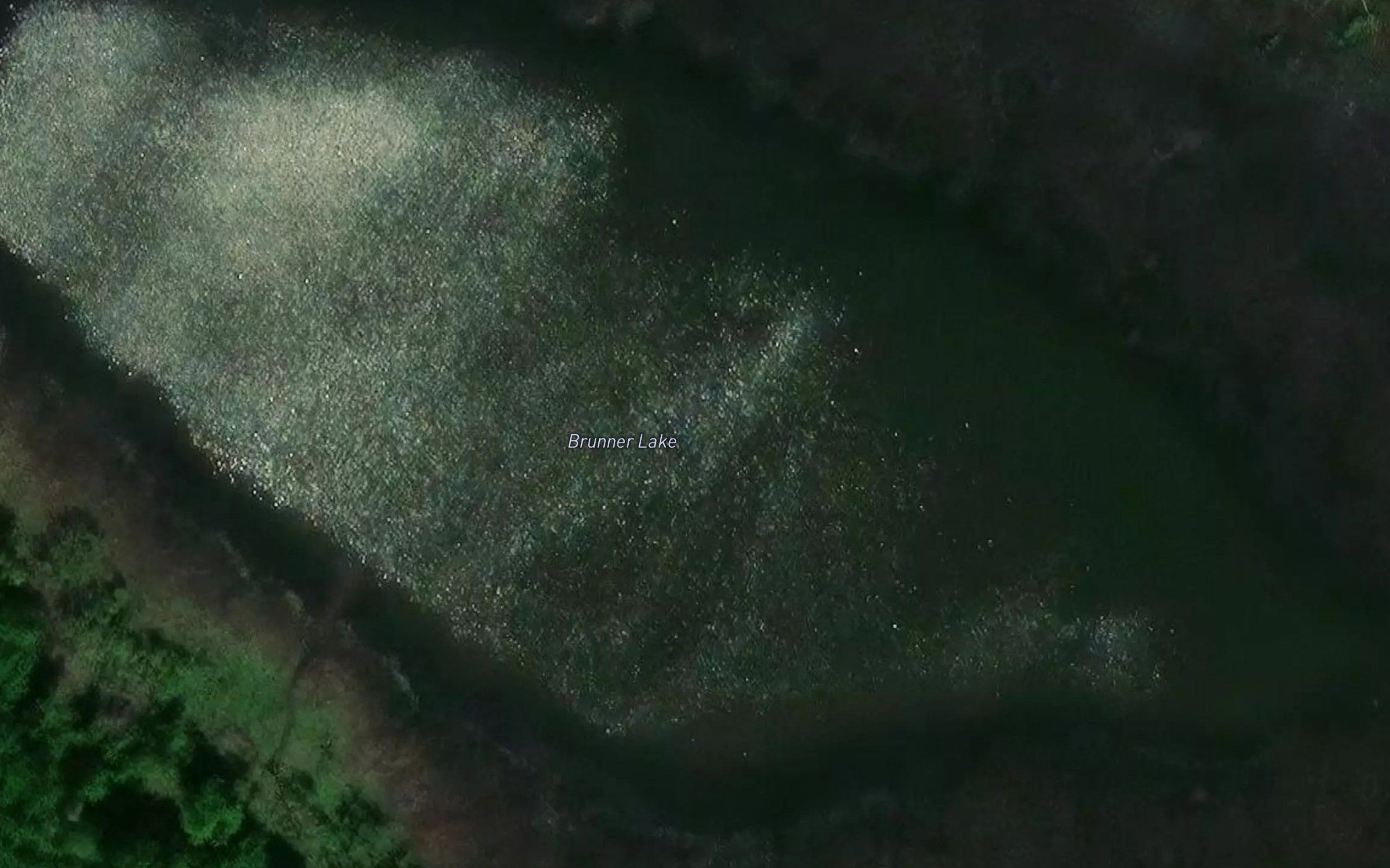 Brunner Lake