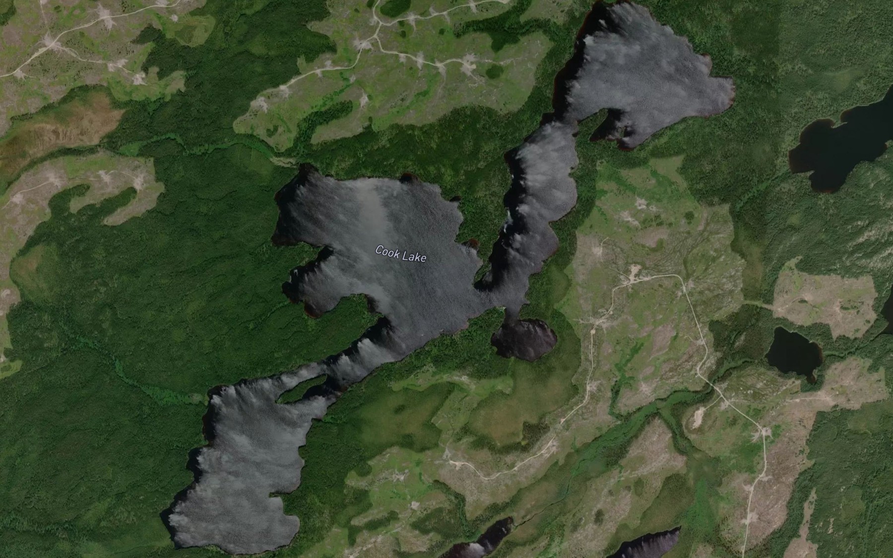 Satellite map of the Cook Lake