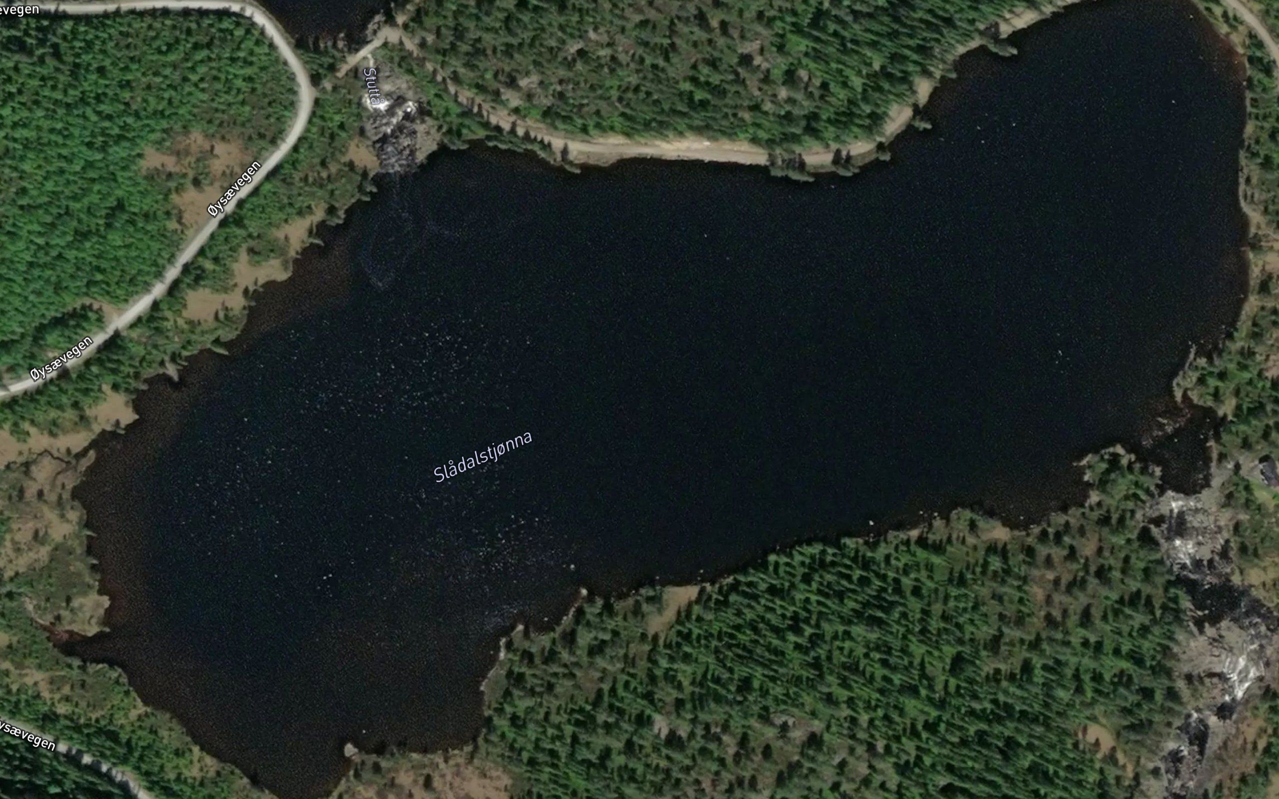 Sladalstjonna